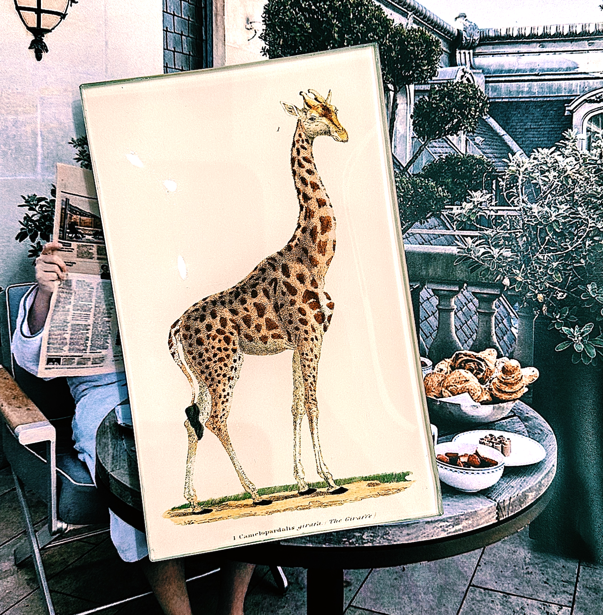 Giraffe "Geoffrey" Decoupage Glass Tray - Bensgarden.com