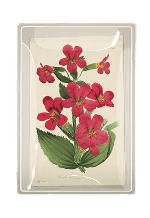 Pinks Flower Decoupage Glass Tray - Bensgarden.com