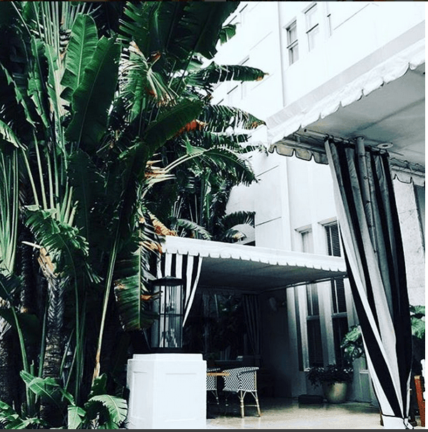 Ben's Garden at The Raleigh Hotel, Miami Beach - Ben's Garden