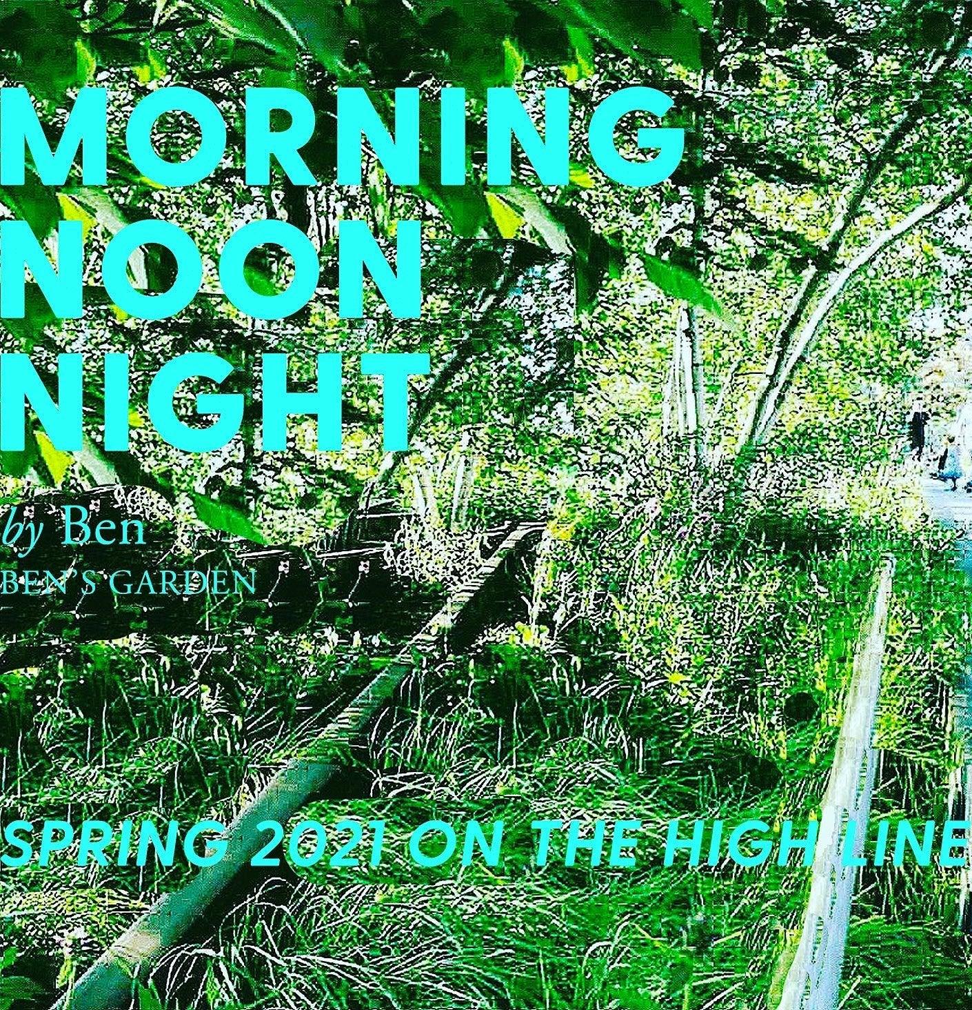 Spring 2021 on The Night Line, NYC | Morning, Noon, Night - Ben's Garden