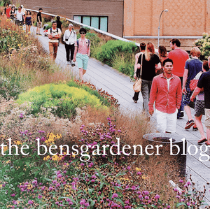 What's Up On The High Line: August 2019 Edition - Bensgarden.com