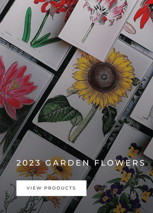 2023 Spring Flowers - Bensgarden.com