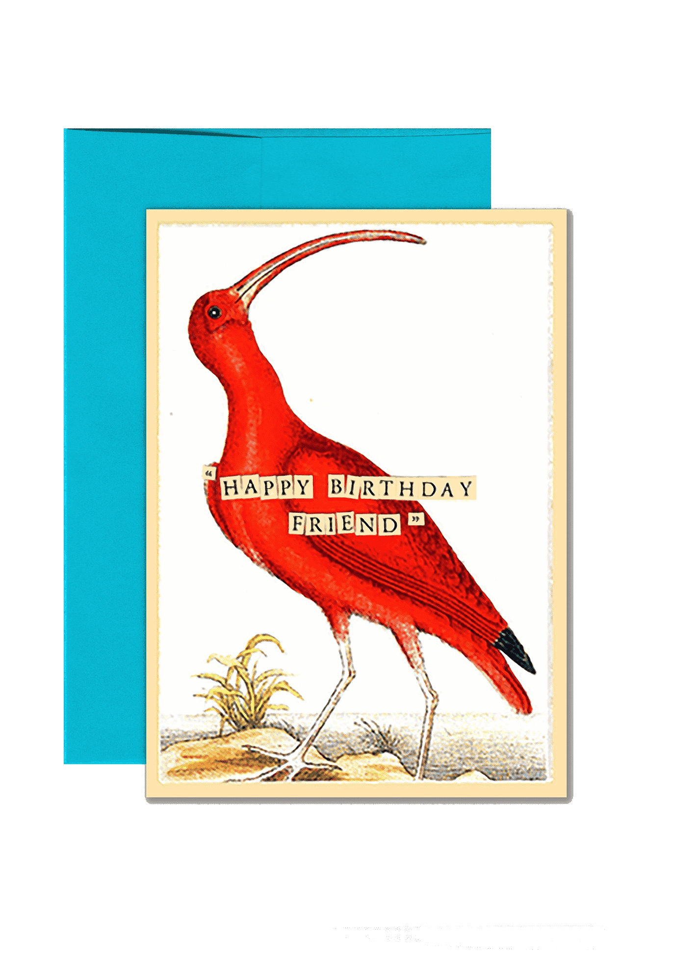 Bensgarden.com | Happy Birthday Curlew Folded Greeting Card - Ben's Garden. Made in New York City.