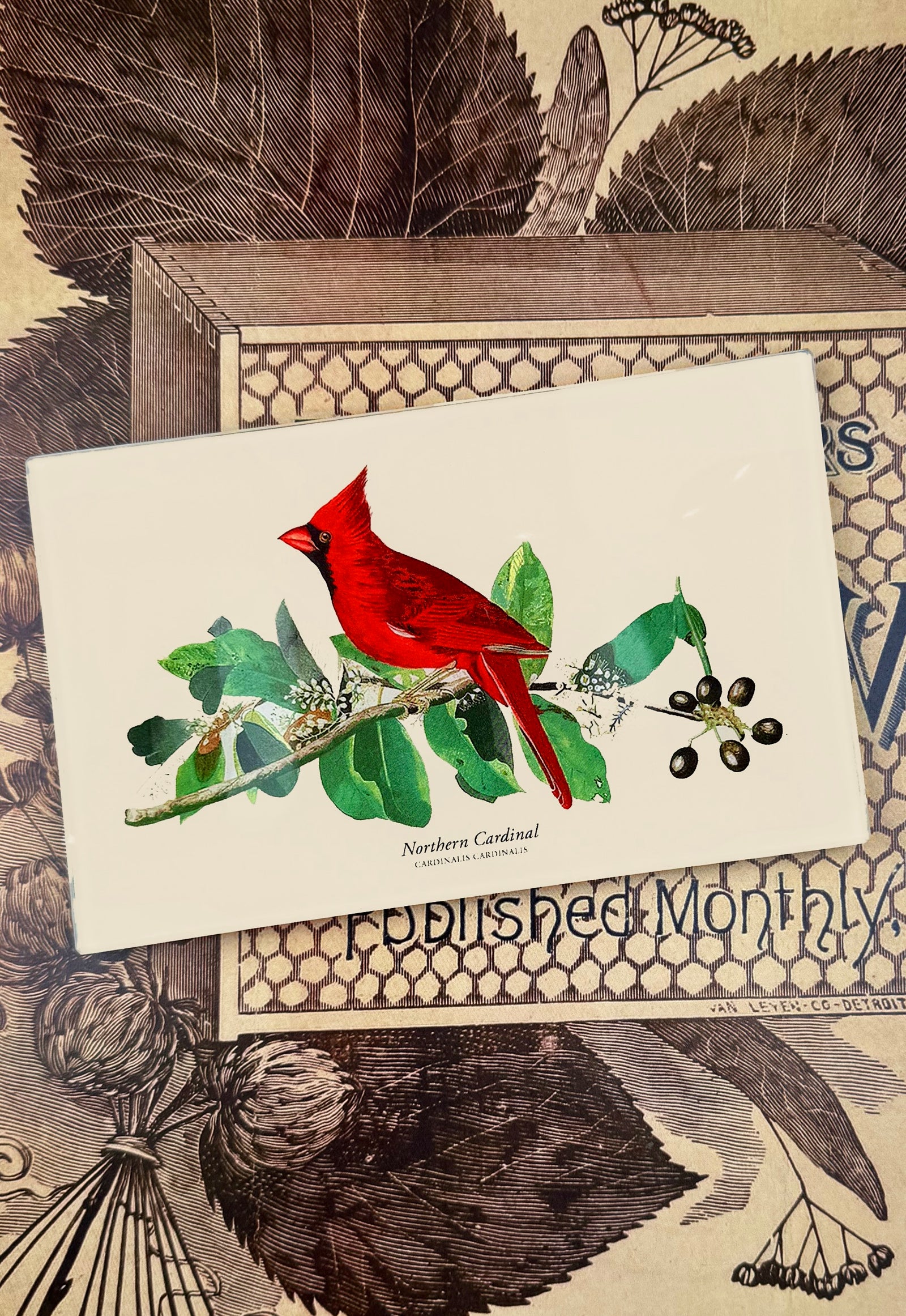 American Cardinal Decoupage Glass Tray