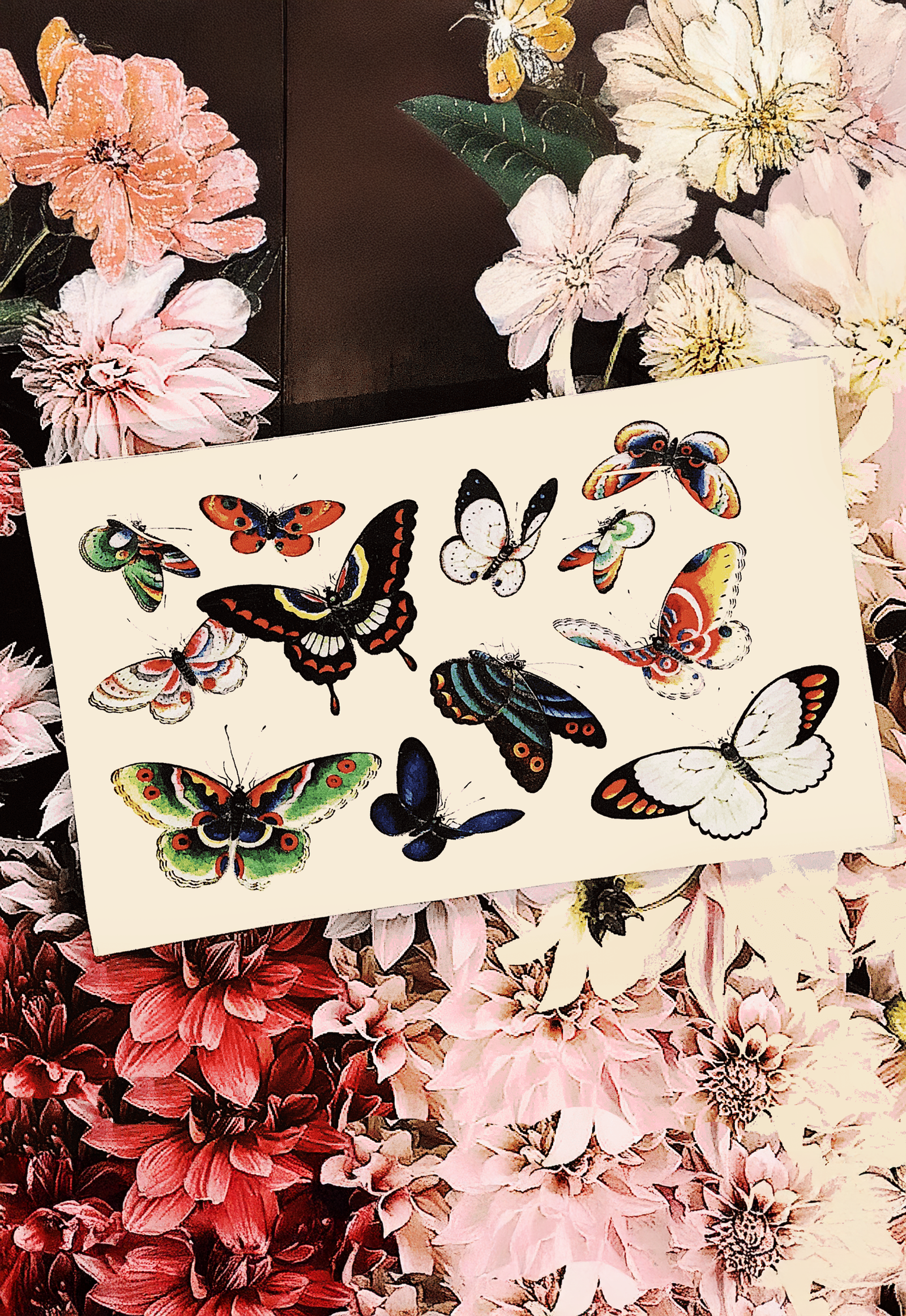 12 Fluttering Butterflies Decoupage Glass Tray - Bensgarden.com