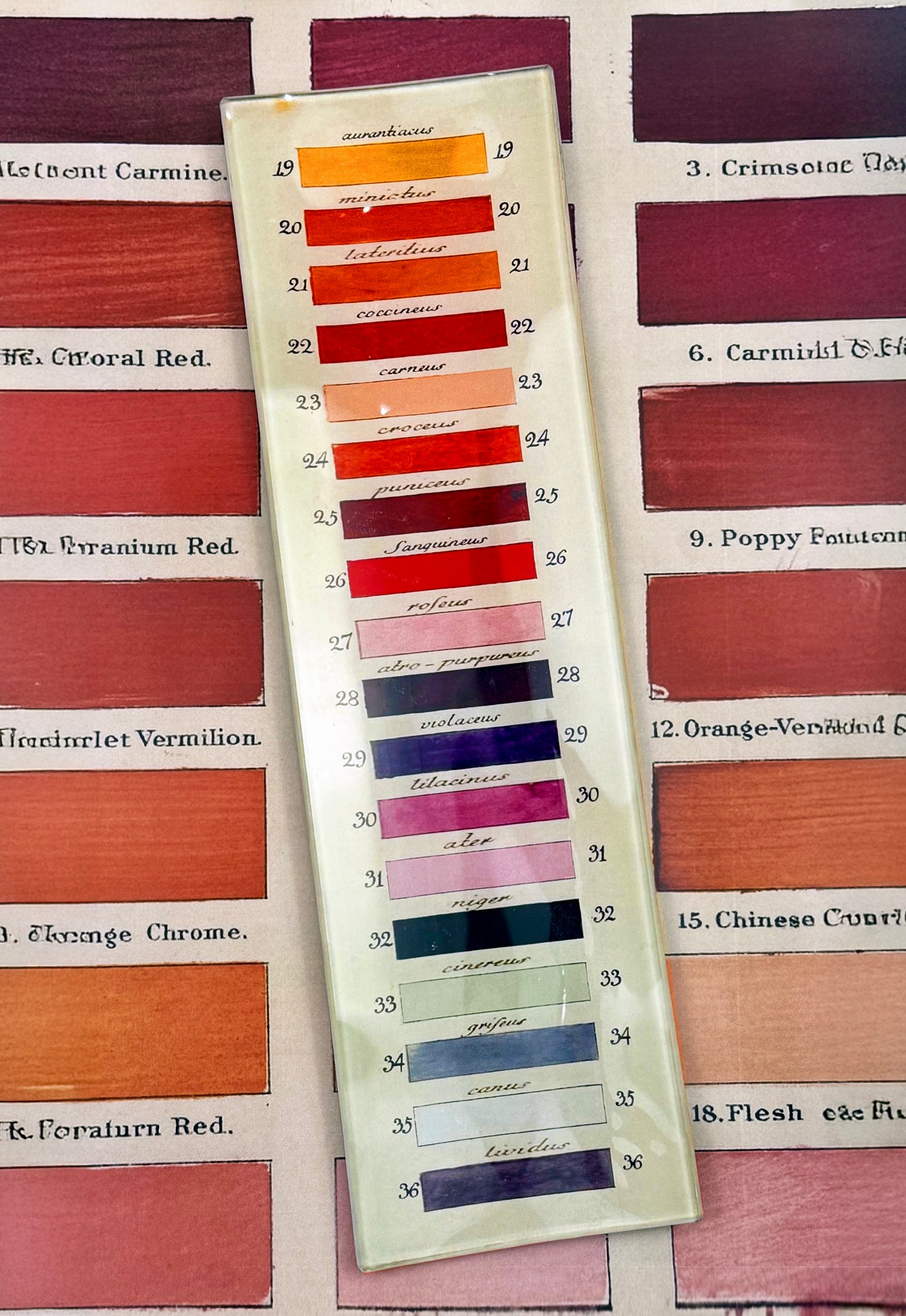 18-Paint Palette Decoupage Glass Tray - Bensgarden.com