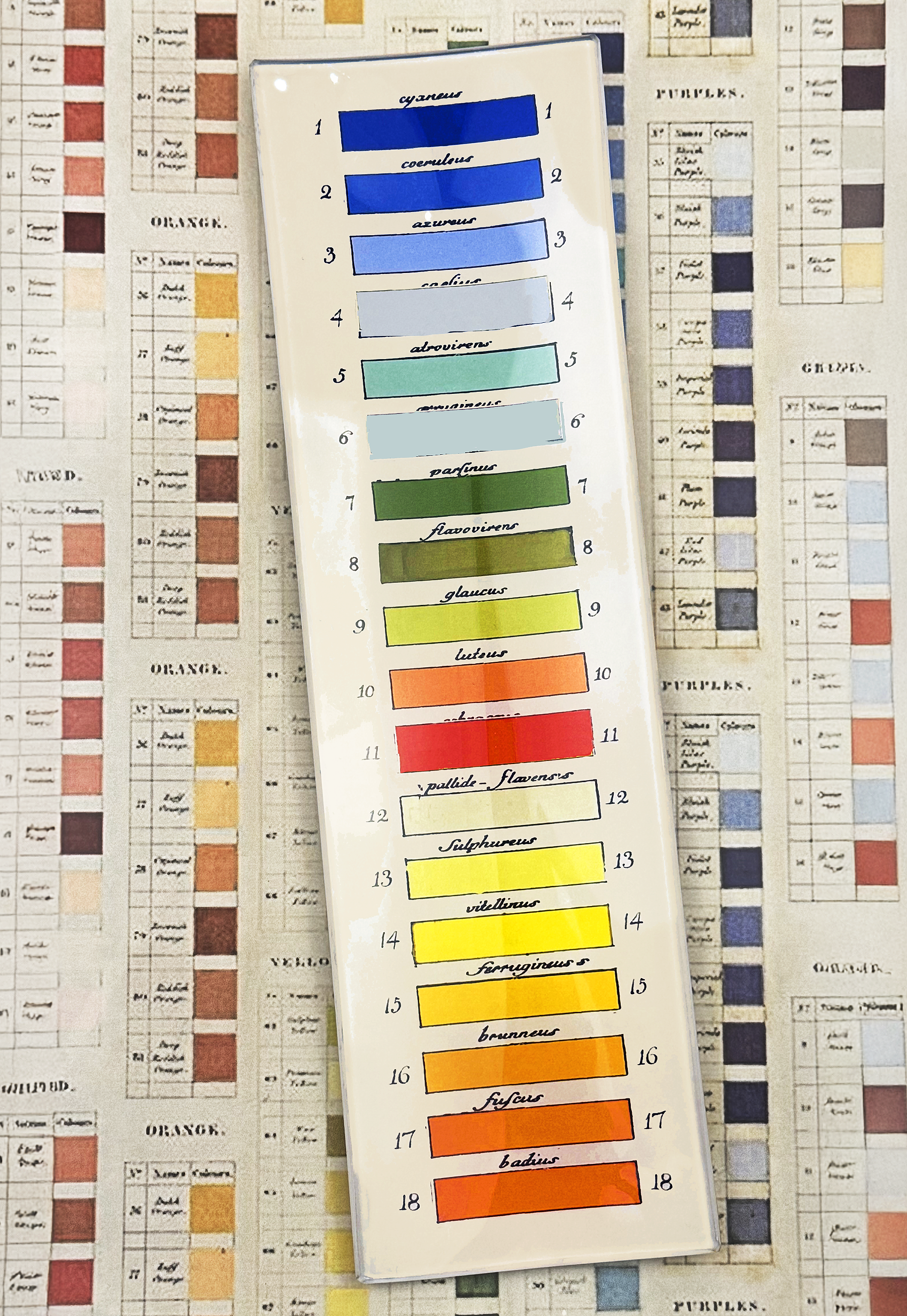 18-Paint Palette Coral to Blue Decoupage Glass Tray - Bensgarden.com