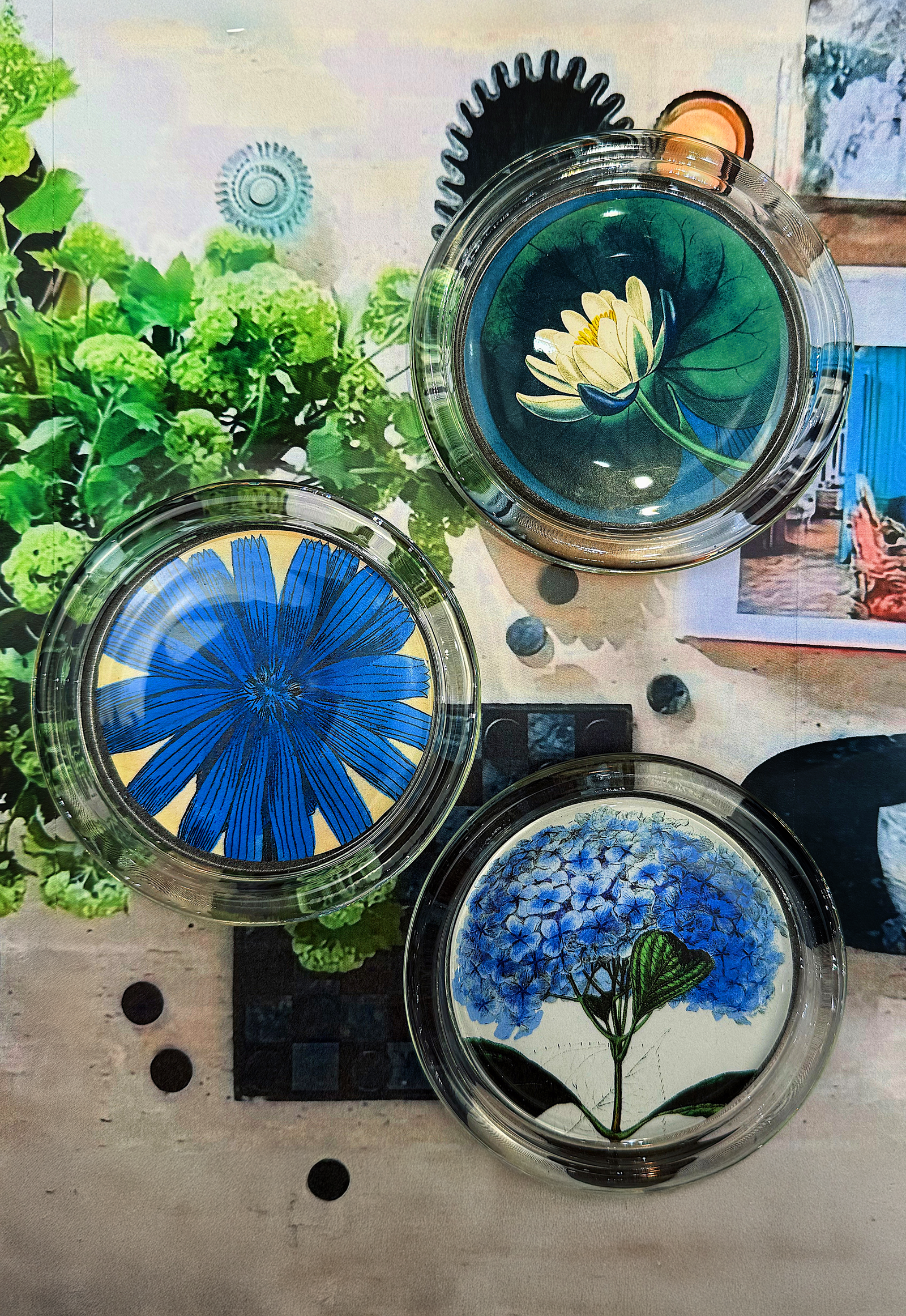 East Hampton Water Lily 4" Round Glass Coaster