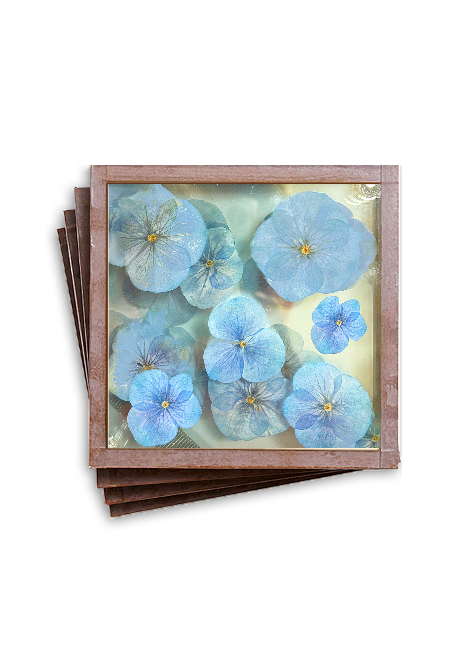 Pressed Flower Hydrangea Copper & Glass Coasters, Set/ 4