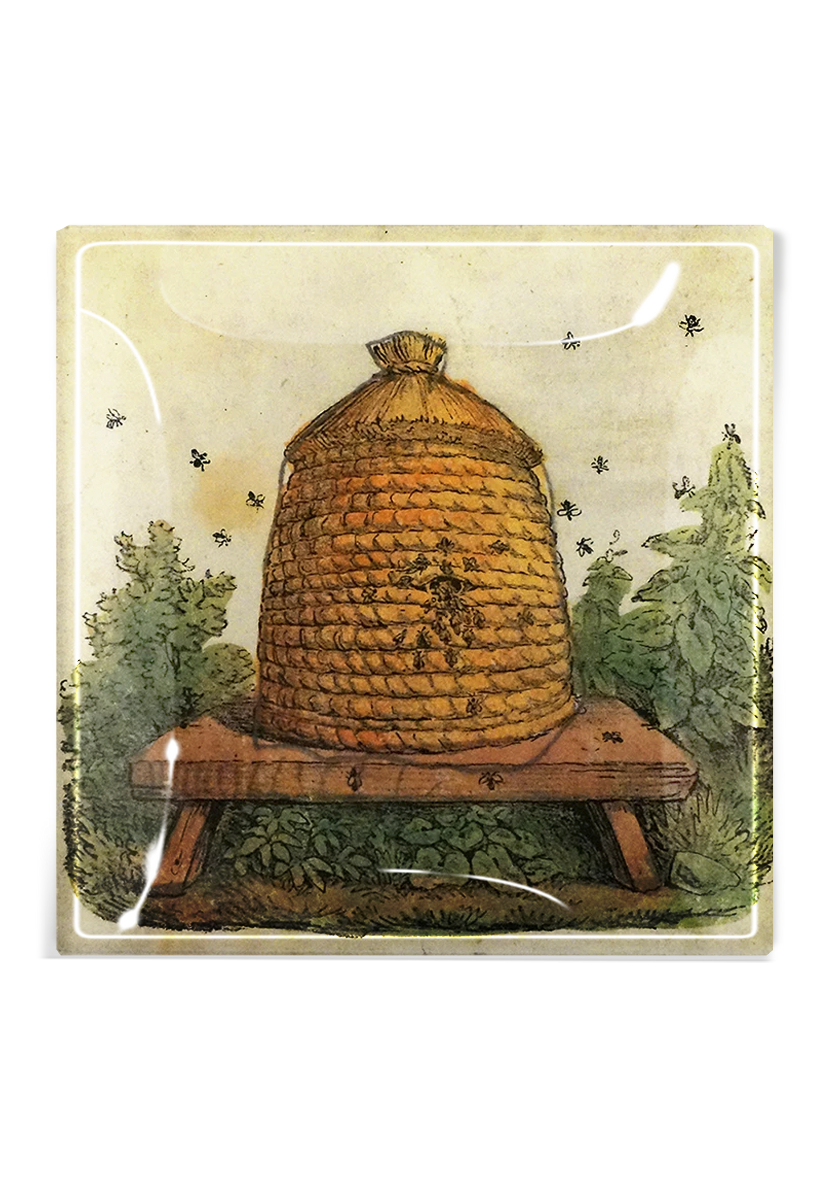 Beehive Etching Decoupage Glass Tray