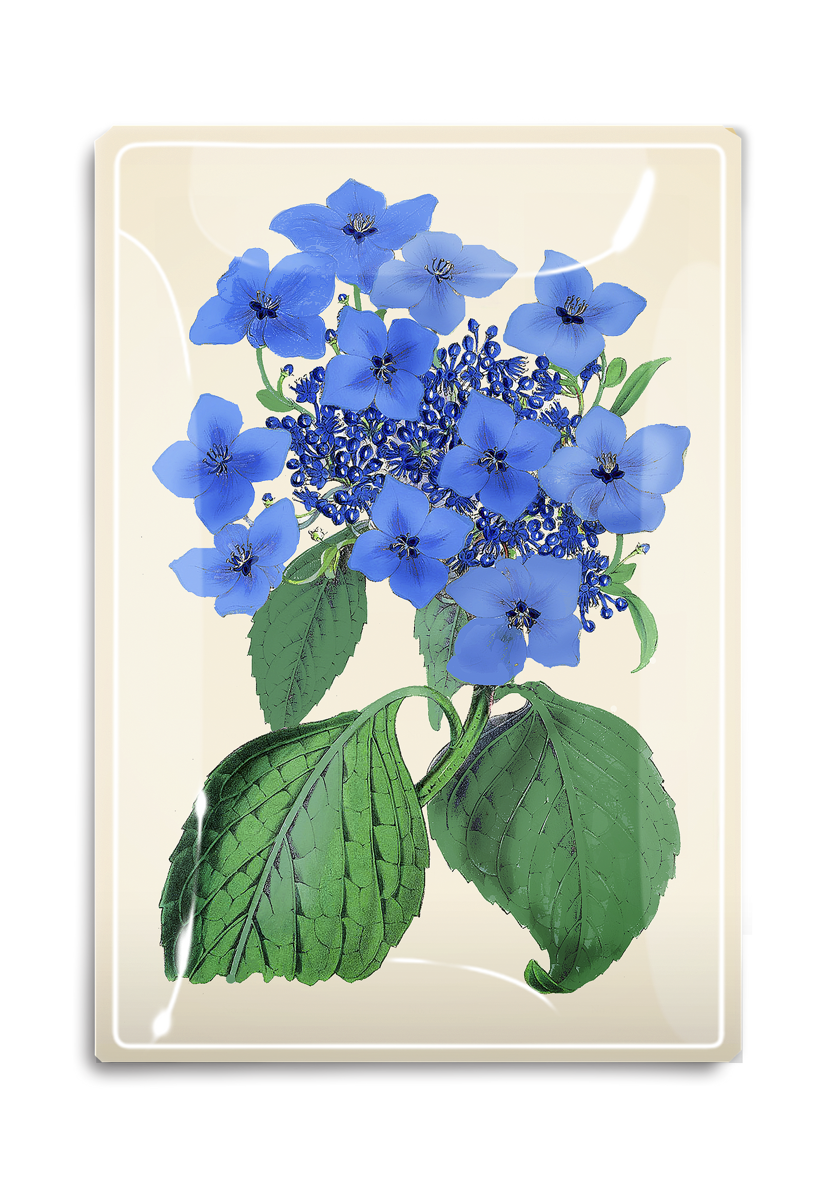 Blue Lace Hydrangea Decoupage Glass Tray