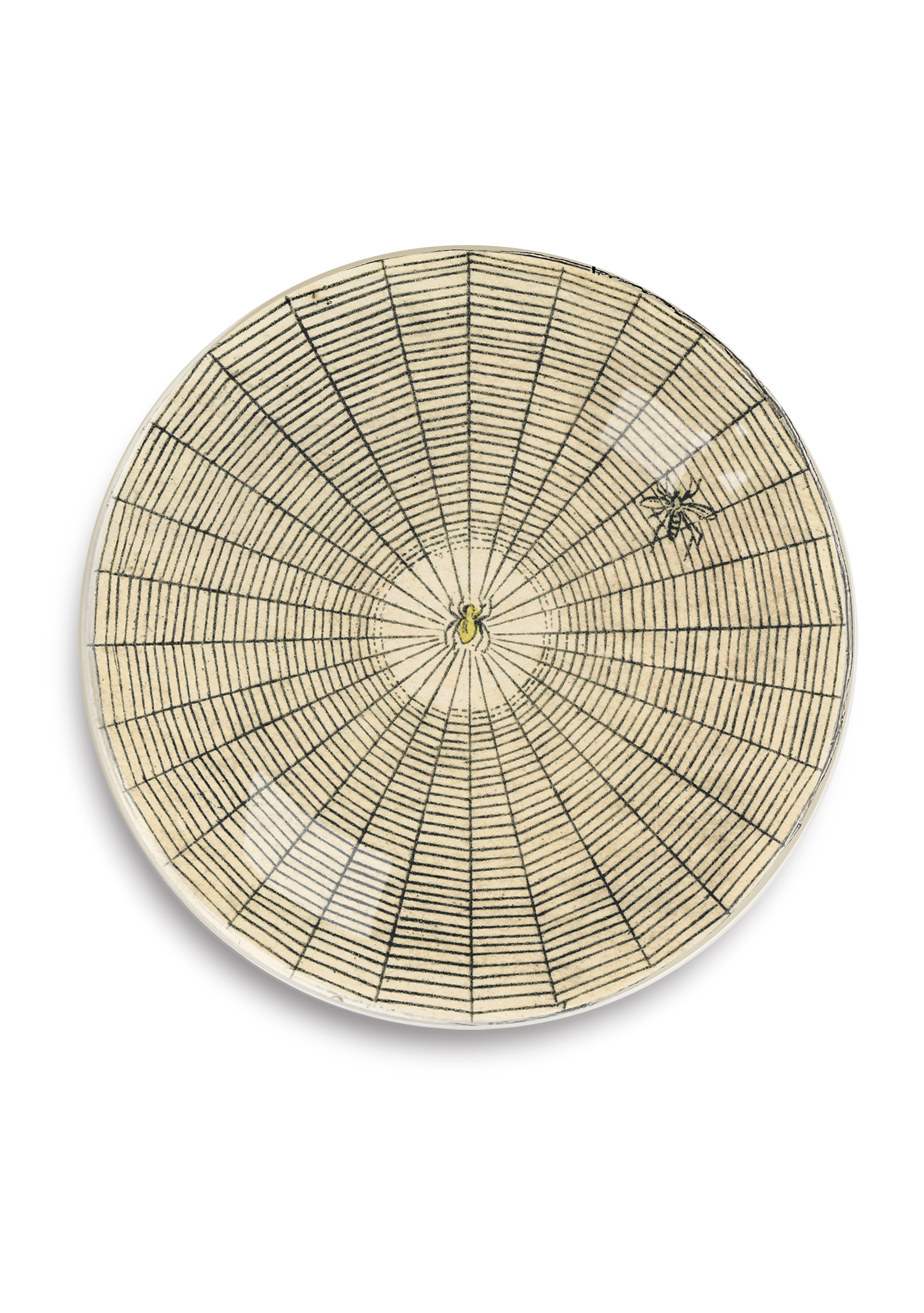 Spider Web #1 Round Decoupage Tray