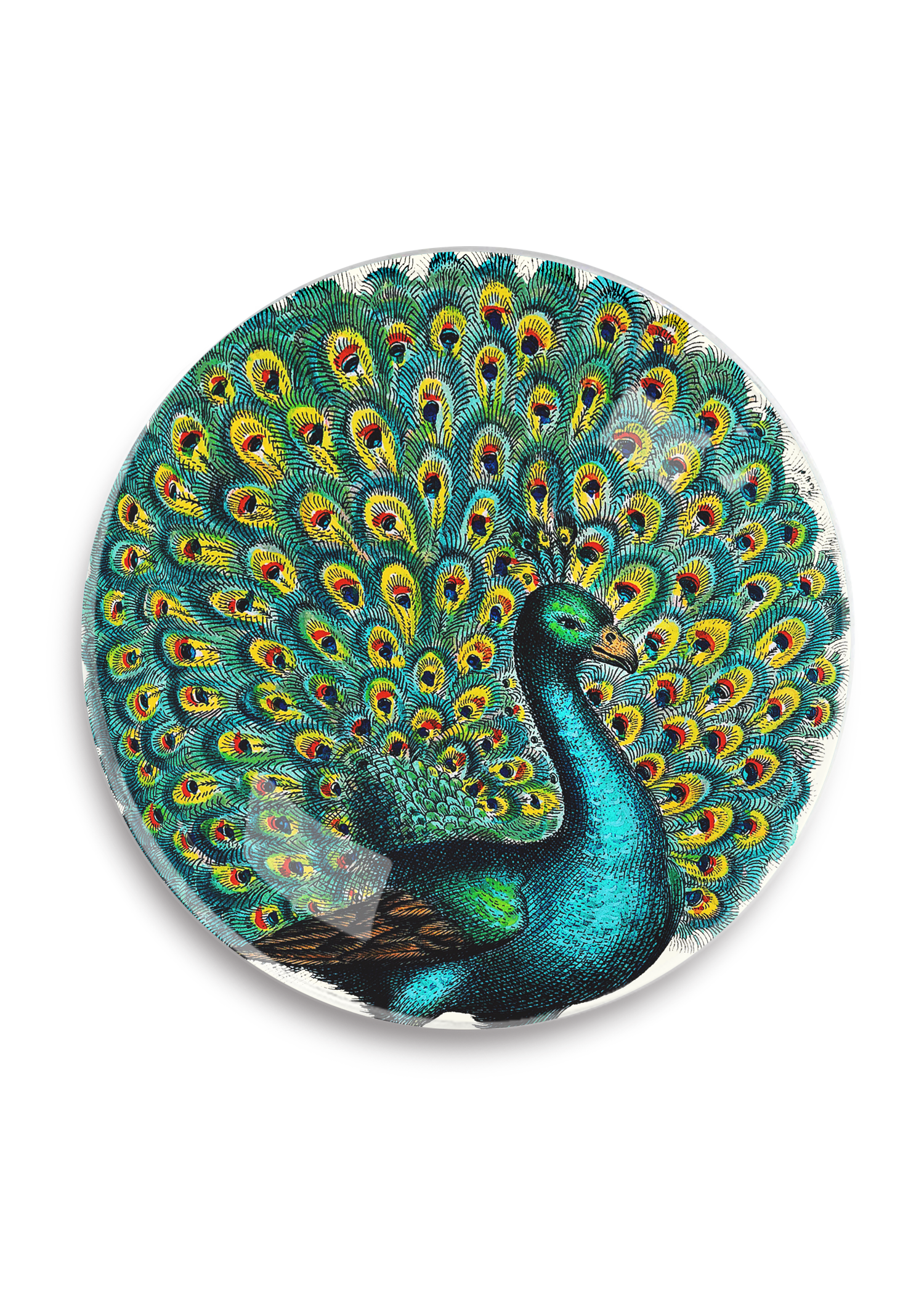 Proud Peacock Round Decoupage Tray