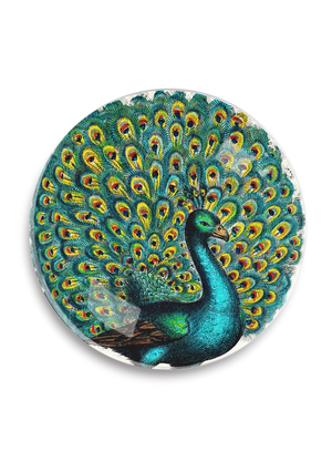 Proud Peacock Round Decoupage Tray