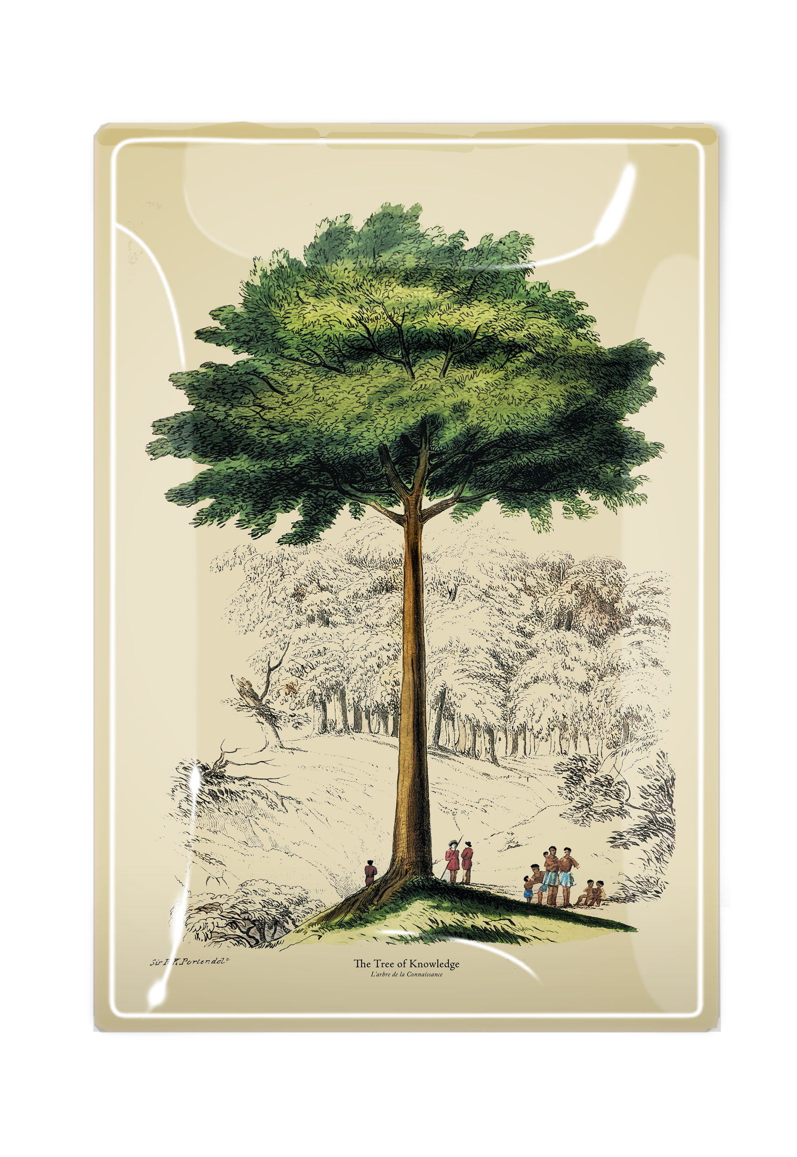 The Tree of Knowledge Decoupage Glass Tray