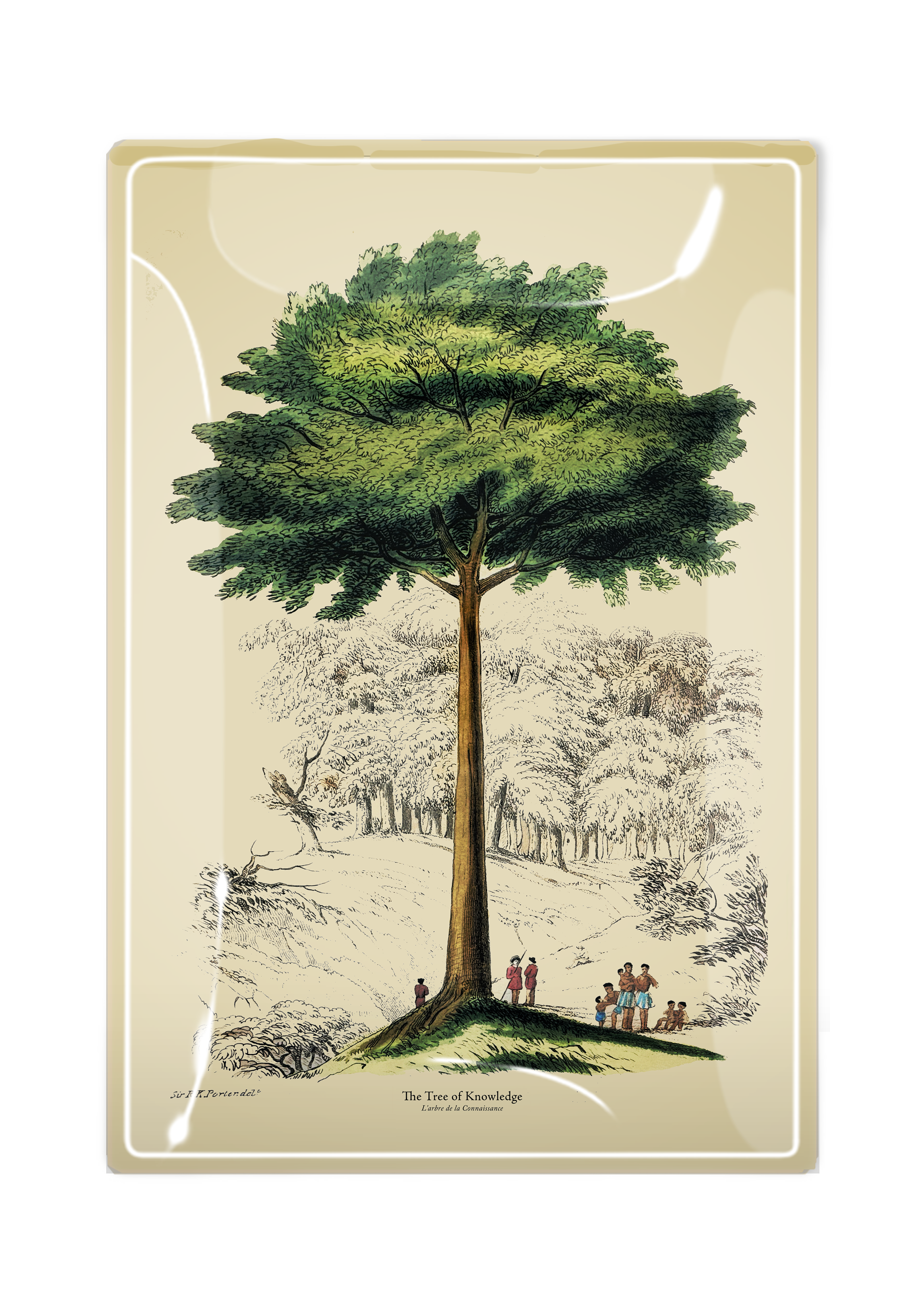 The Tree of Knowledge Decoupage Glass Tray