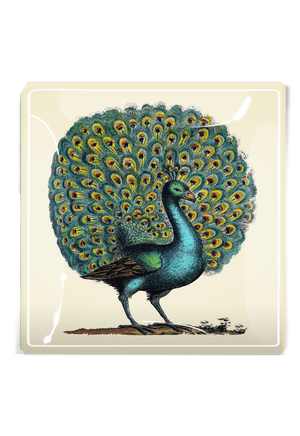 Proud Oyster Bay Peacock Decoupage Glass Tray