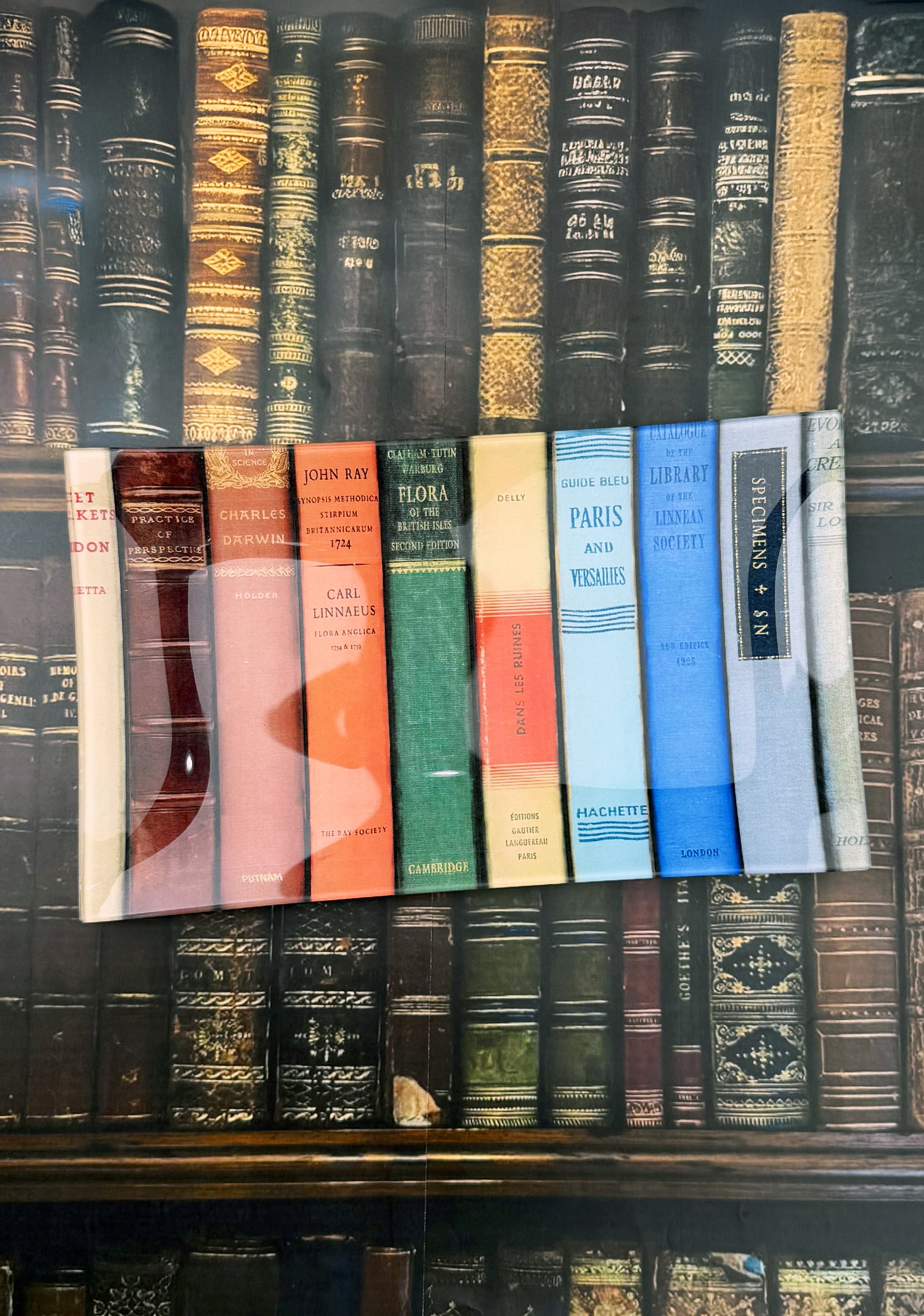 New York Public Library Reserve Decoupage Glass Tray