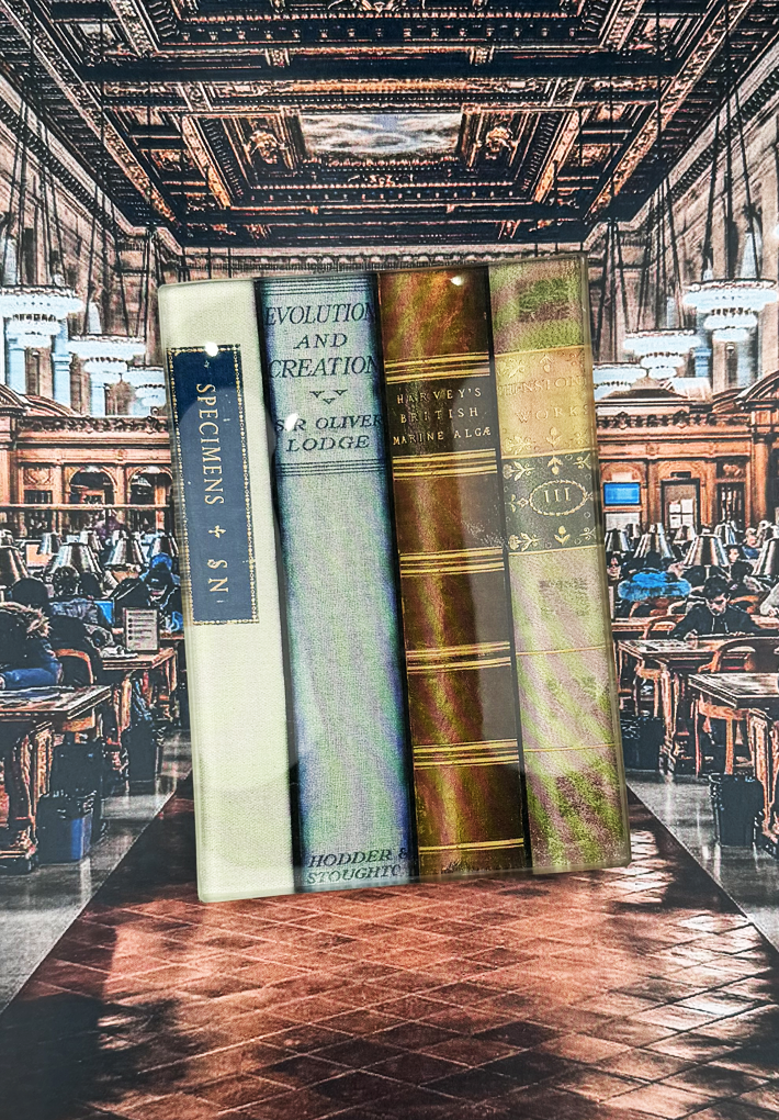 Library British Studies Decoupage Tray