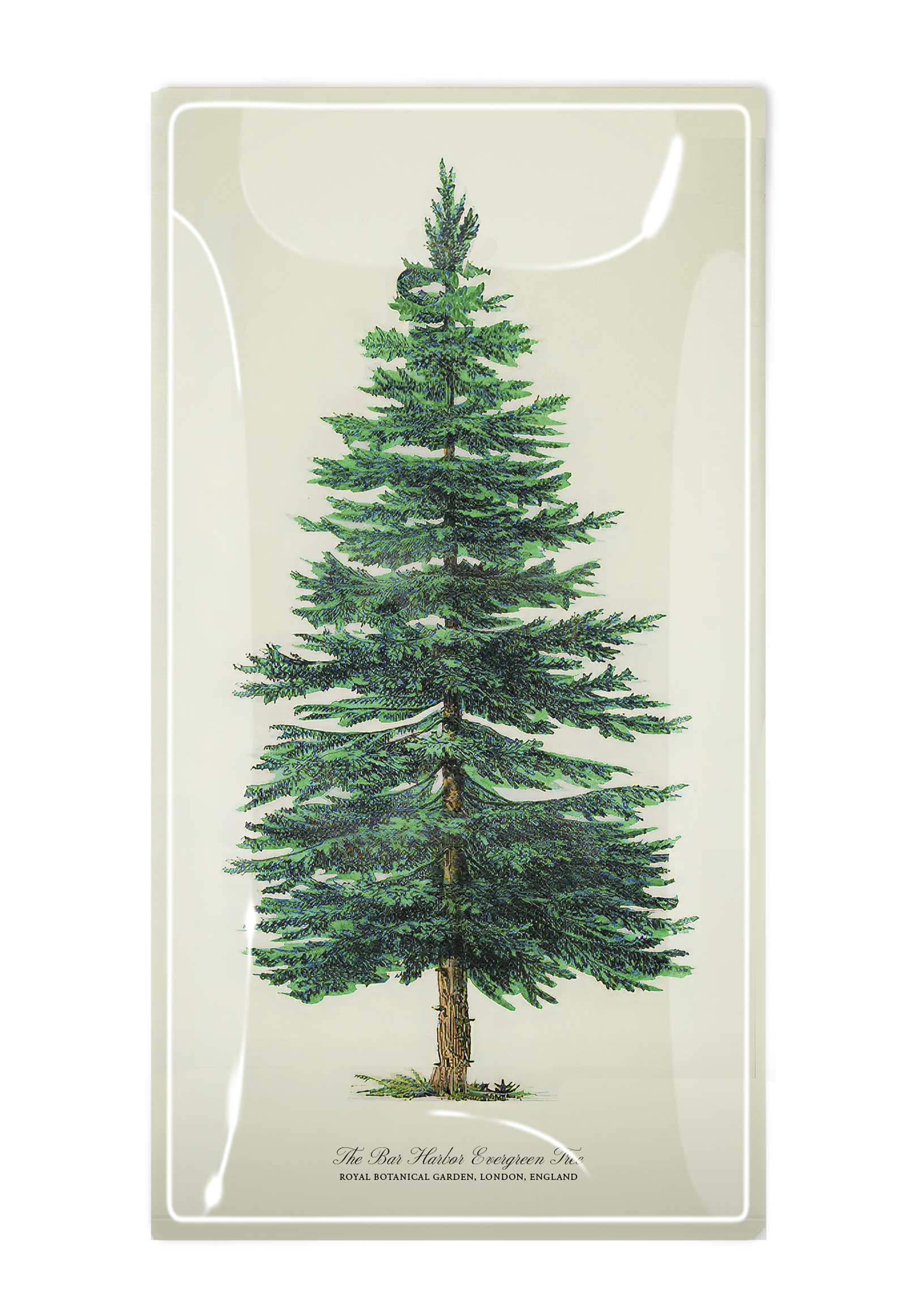 The Bar Harbor Evergreen Tree Glass Decoupage Tray