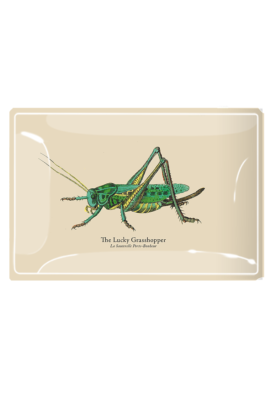 Very Green Lucky Grasshopper Decoupage Glass Tray