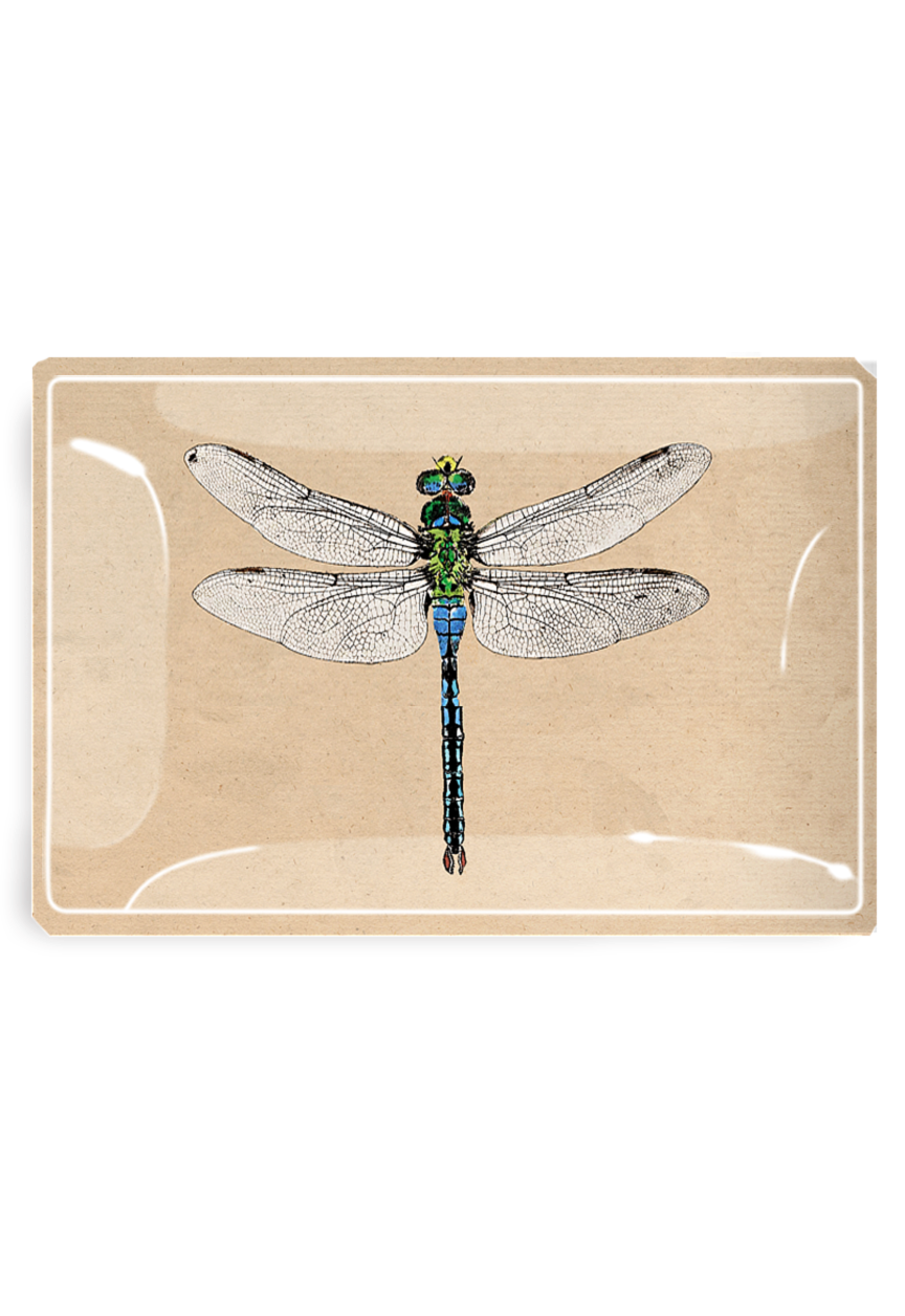 Emerald Green Crystal Dragonfly Decoupage Glass Tray