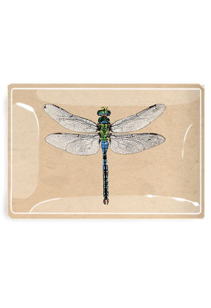 Emerald Green Crystal Dragonfly Decoupage Glass Tray