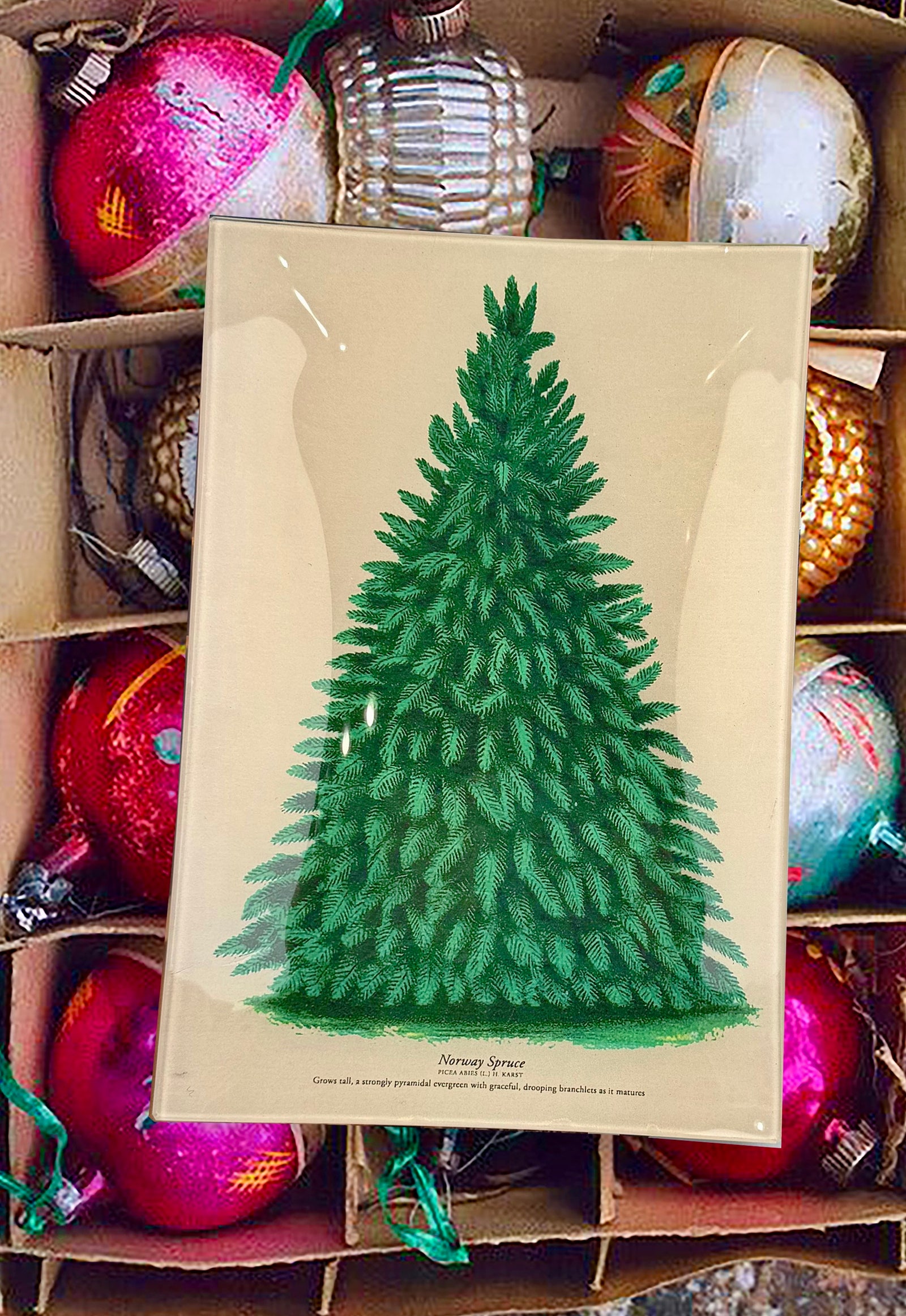 Vintage Norway Spruce Decoupage Tray