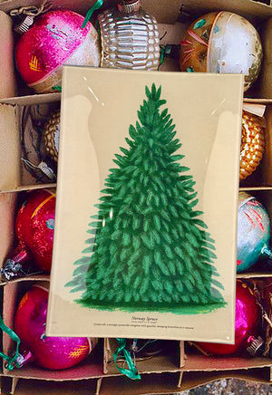 Vintage Norway Spruce Decoupage Tray