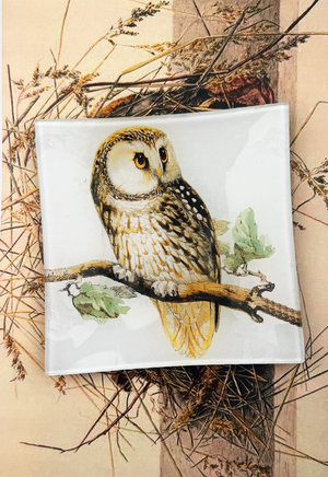 Sweet Owl Decoupage Glass Tray