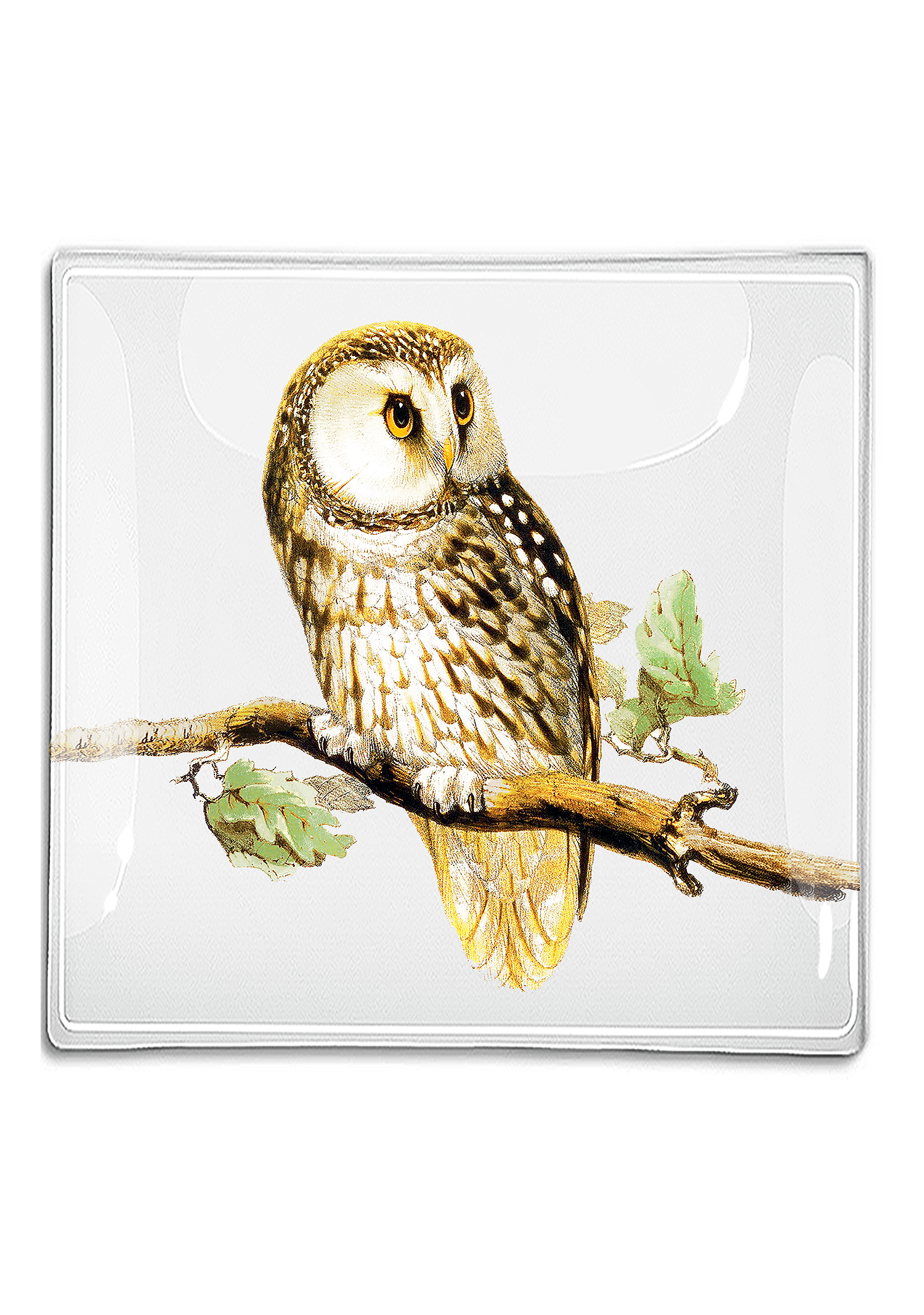 Sweet Owl Decoupage Glass Tray