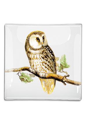 Sweet Owl Decoupage Glass Tray