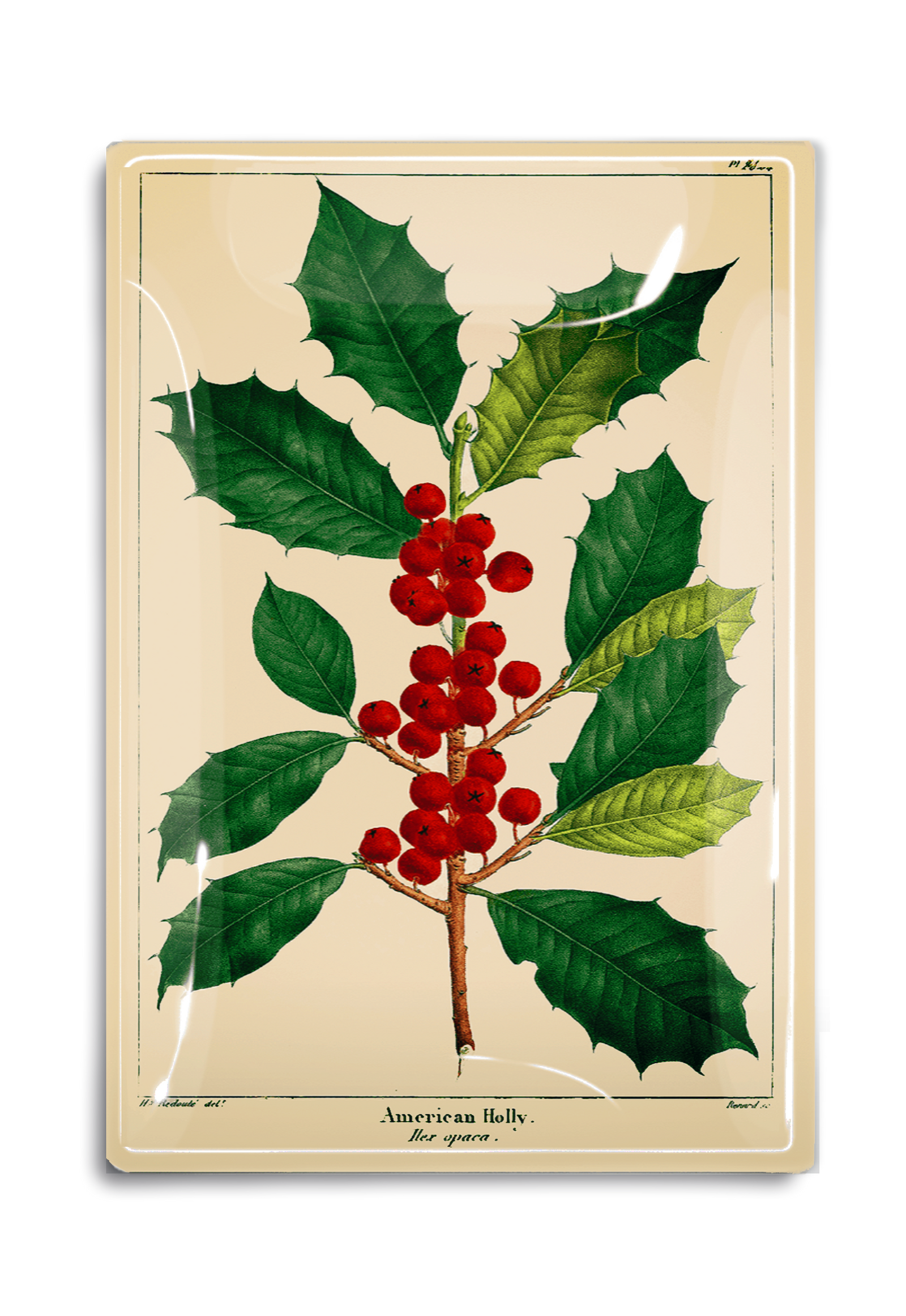 American Holly Glass Decoupage Tray