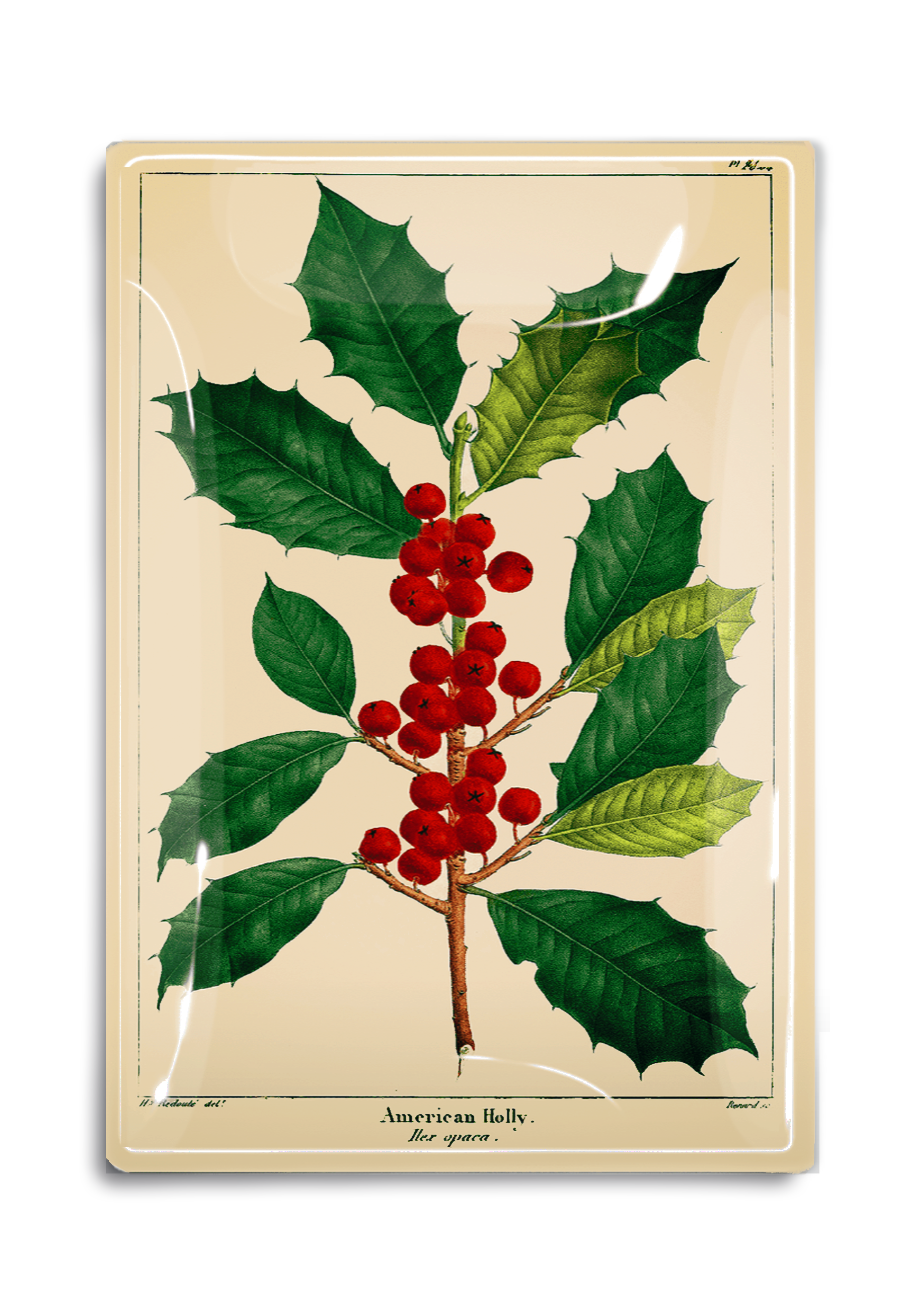 American Holly Glass Decoupage Tray