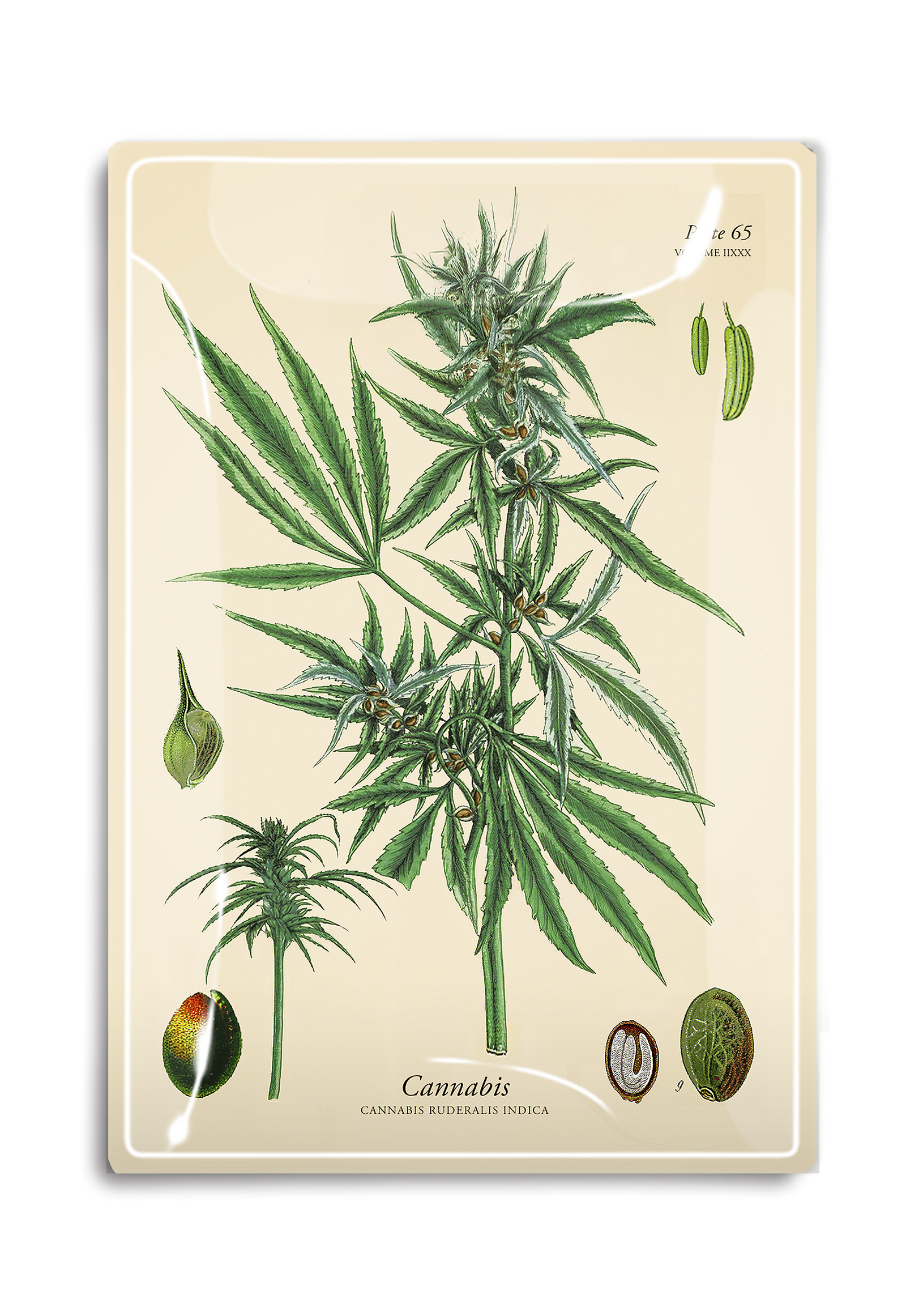 Herbal Cannabis Decoupage Glass Tray