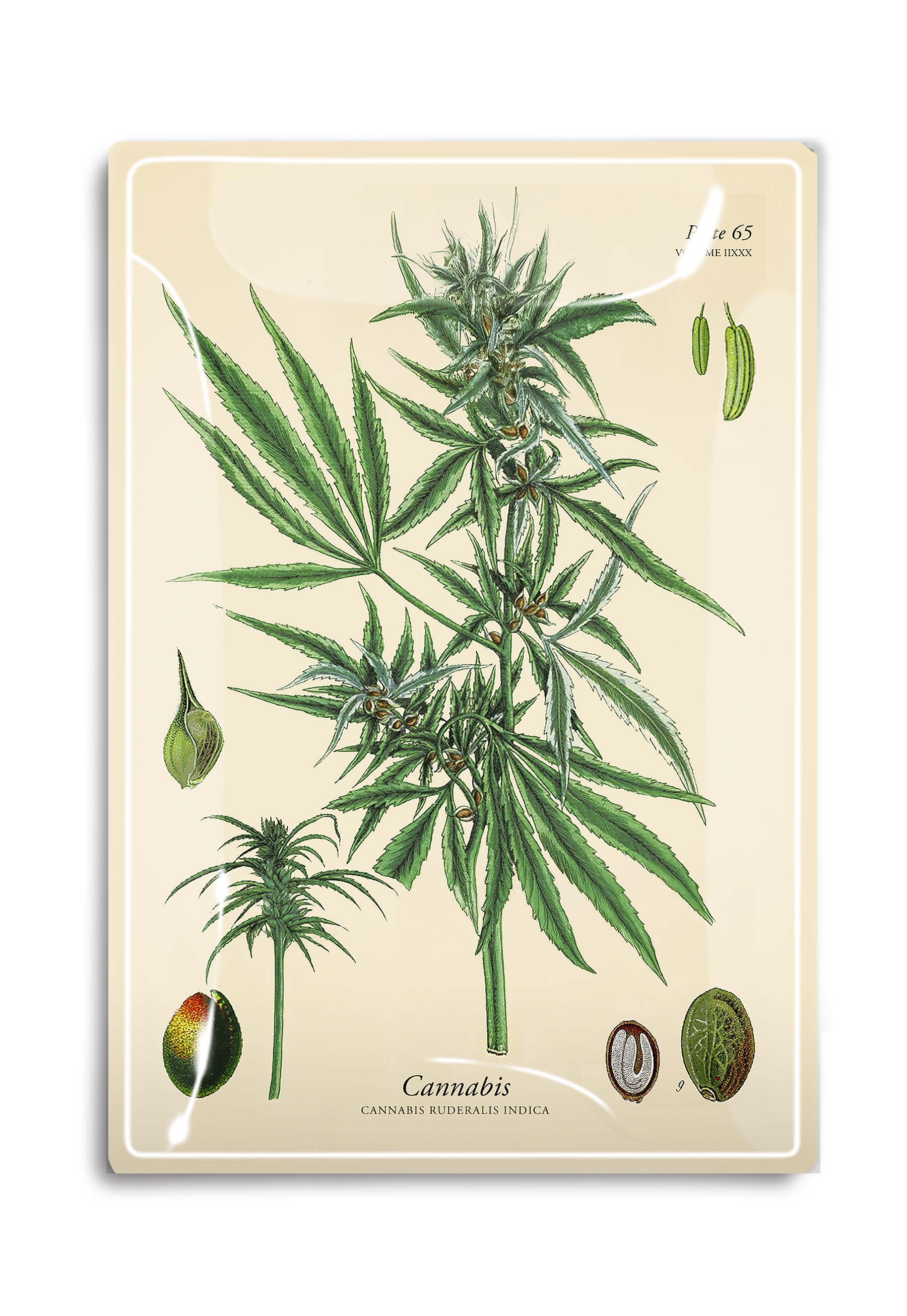 Herbal Cannabis Decoupage Glass Tray