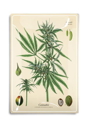 Herbal Cannabis Decoupage Glass Tray