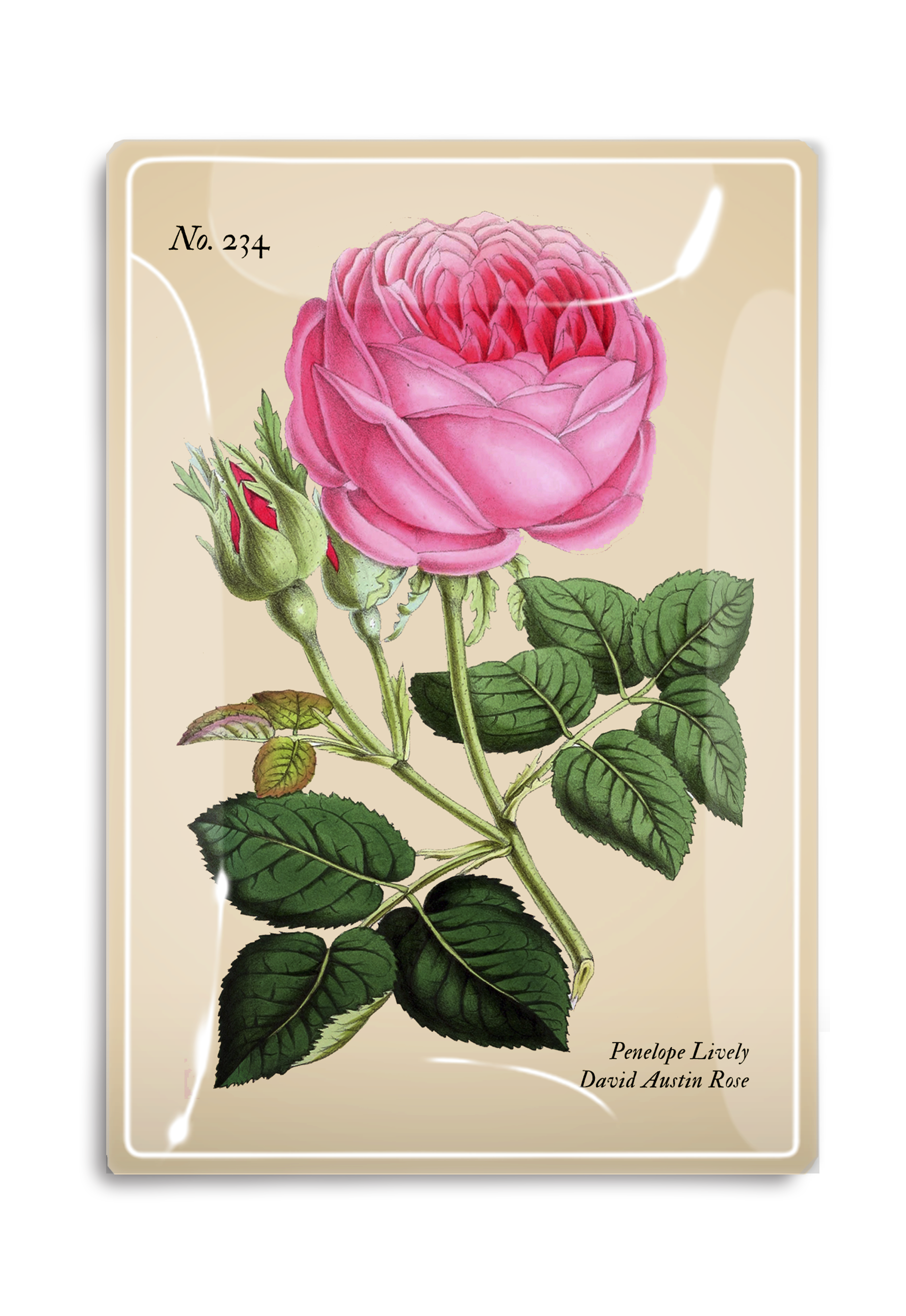 Penelope Pink Rose Decoupage Glass Tray