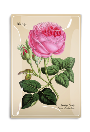 Penelope Pink Rose Decoupage Glass Tray