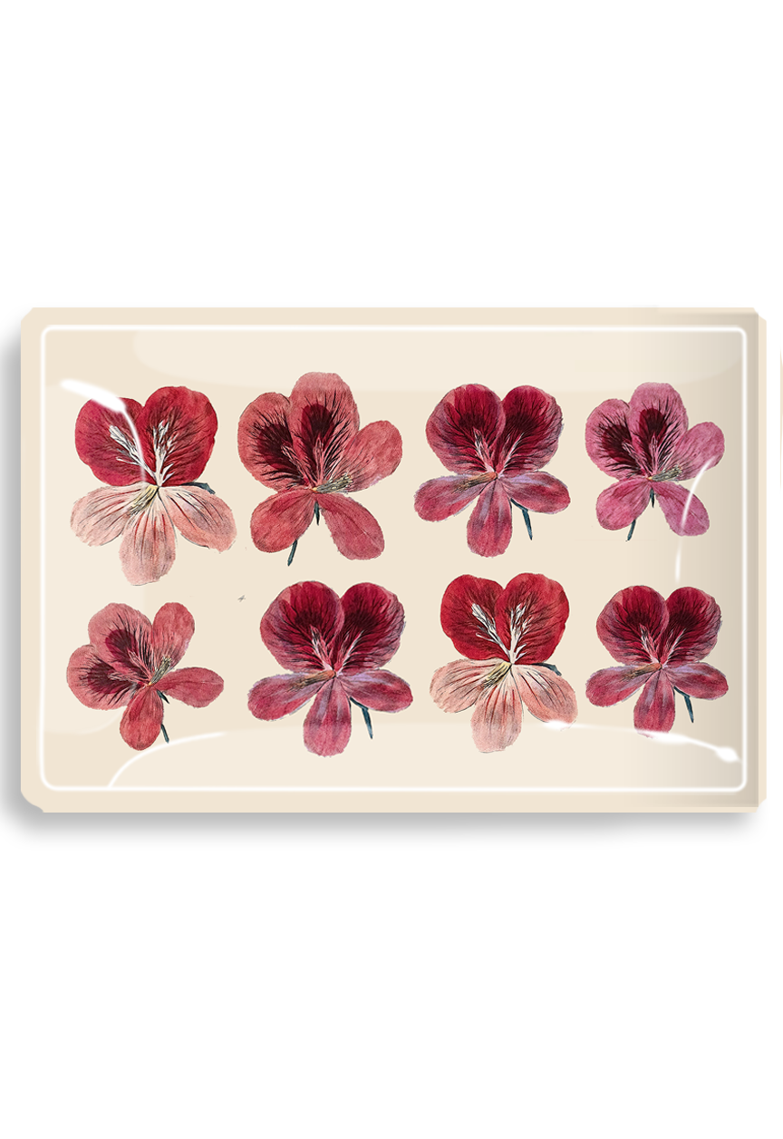 Pink English Ivy Geranium Decoupage Glass Tray