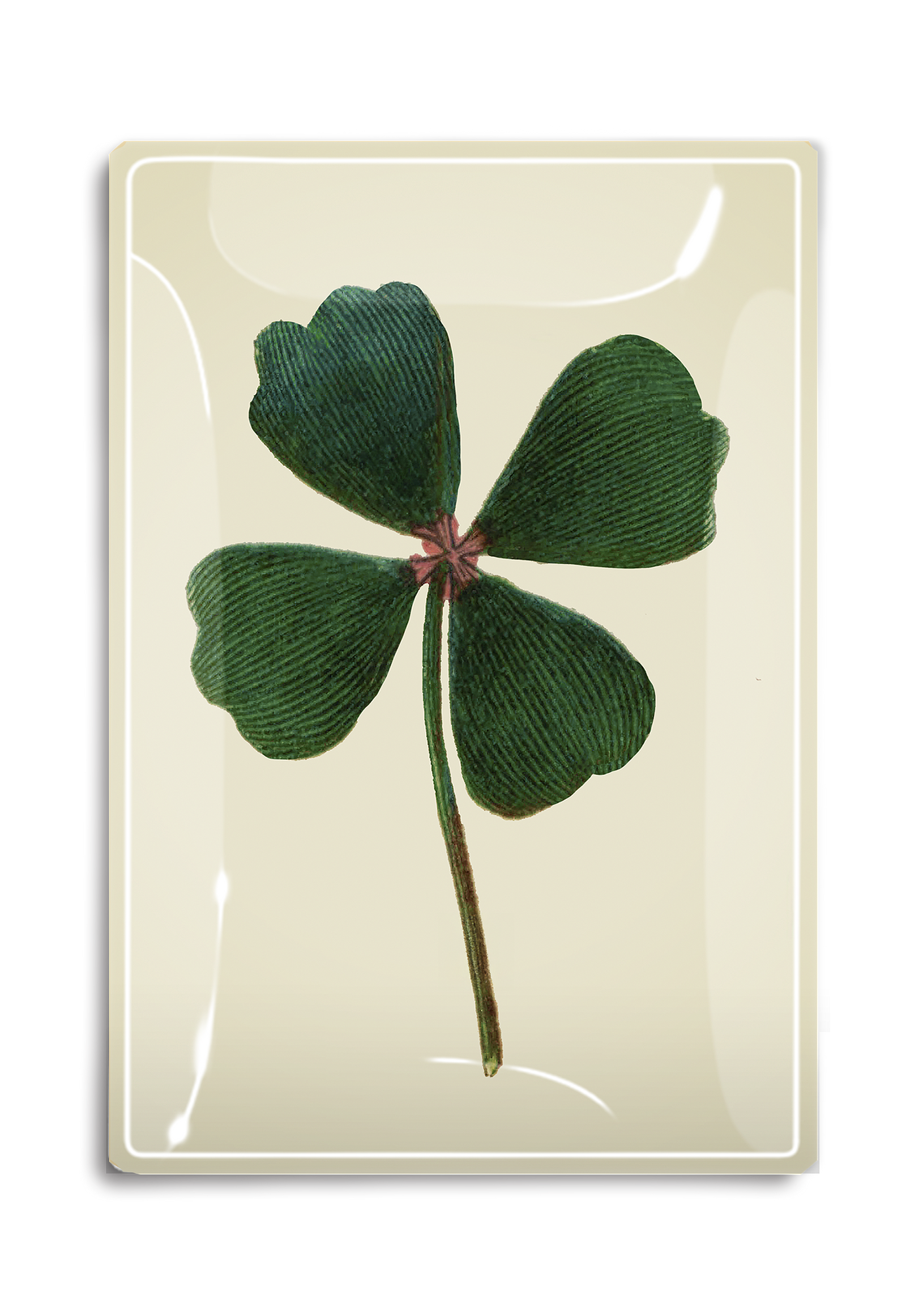 Lucky Four-Leaf Clover Drawing Decoupage Glass Tray