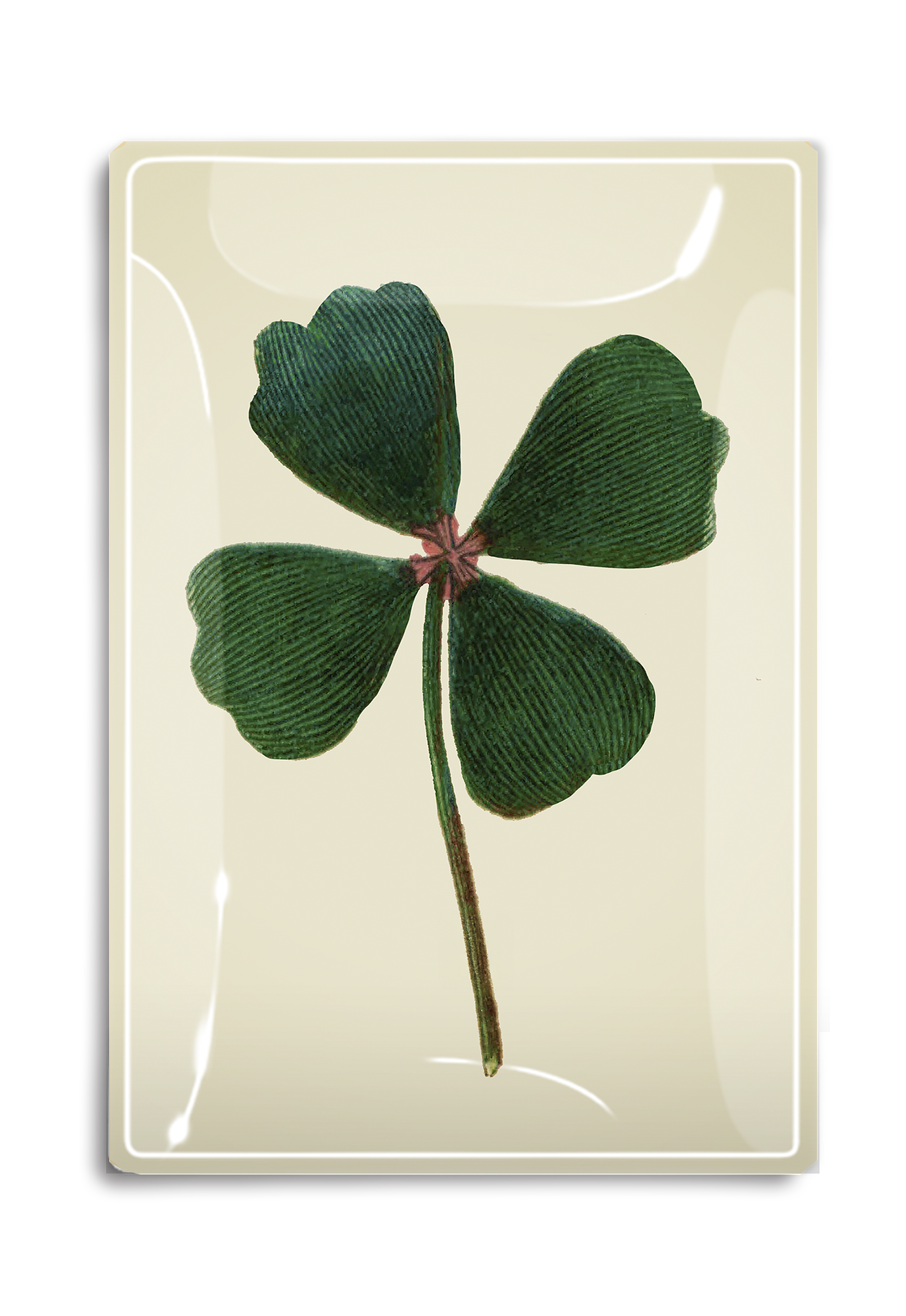 Lucky Four-Leaf Clover Drawing Decoupage Glass Tray - Bensgarden.com