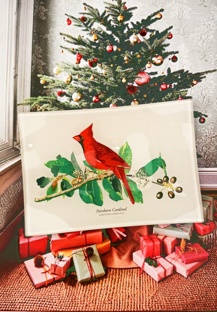 American Cardinal Decoupage Glass Tray