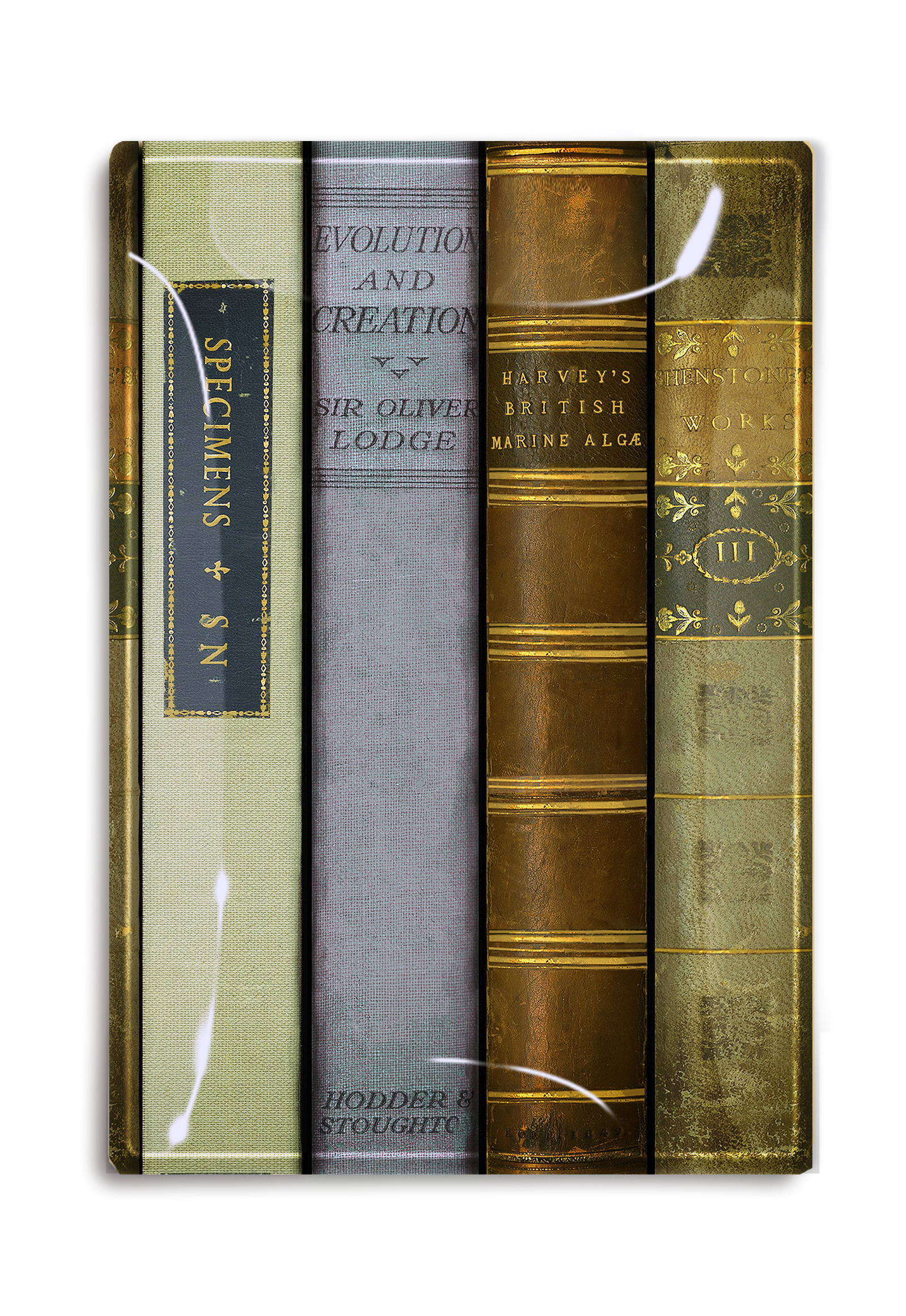 Library British Studies Decoupage Tray