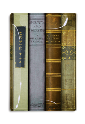 Library British Studies Decoupage Tray