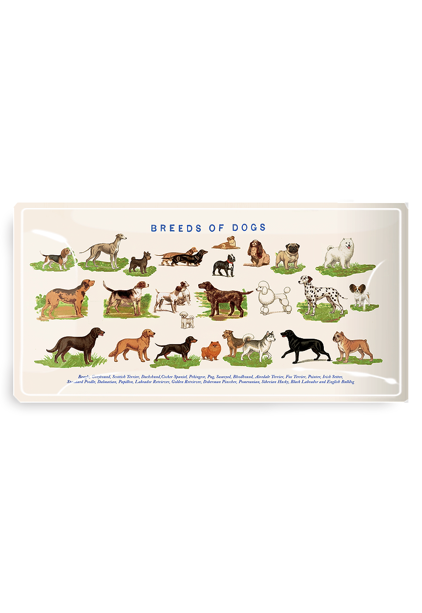Dog Run, Breeds of Dogs Glass Decoupage Tray