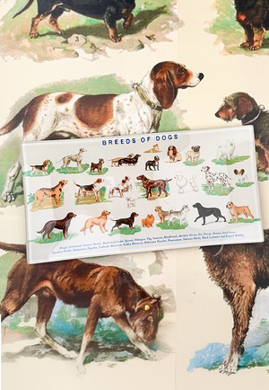 Dog Run, Breeds of Dogs Glass Decoupage Tray