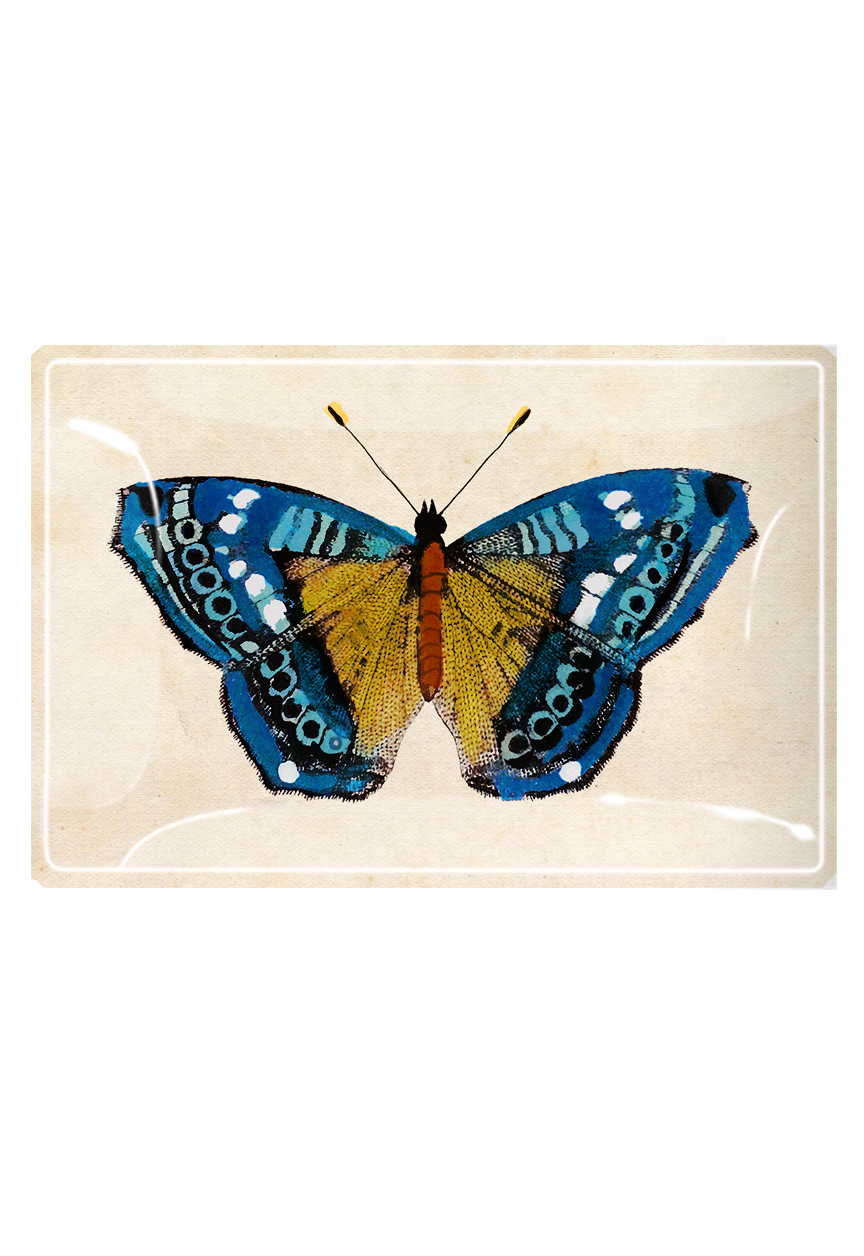 Blue Pansy Butterfly Decoupage Glass Tray
