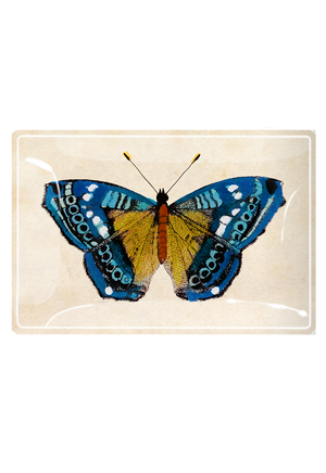 Blue Pansy Butterfly Decoupage Glass Tray