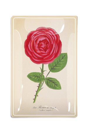 Single Hot Pink David Austin Rose Stem Decoupage Glass Tray